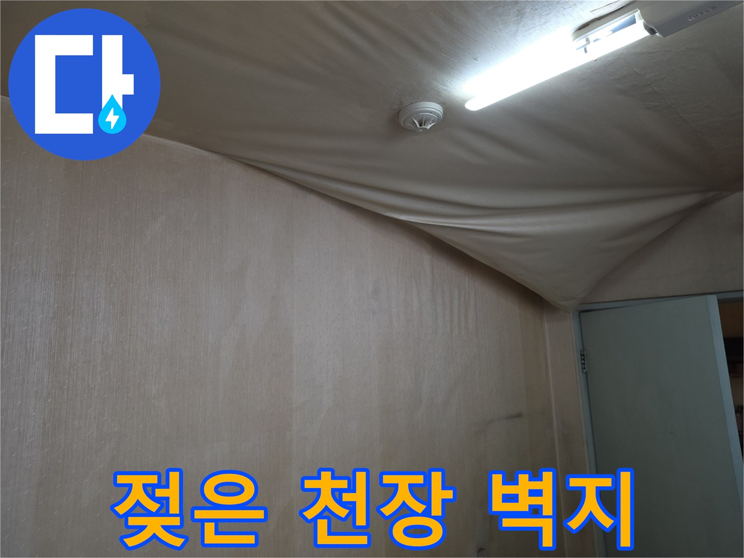 천장 벽지가 물에 젖어 불룩하게 튀어나온 모습 - 누수 진단 중