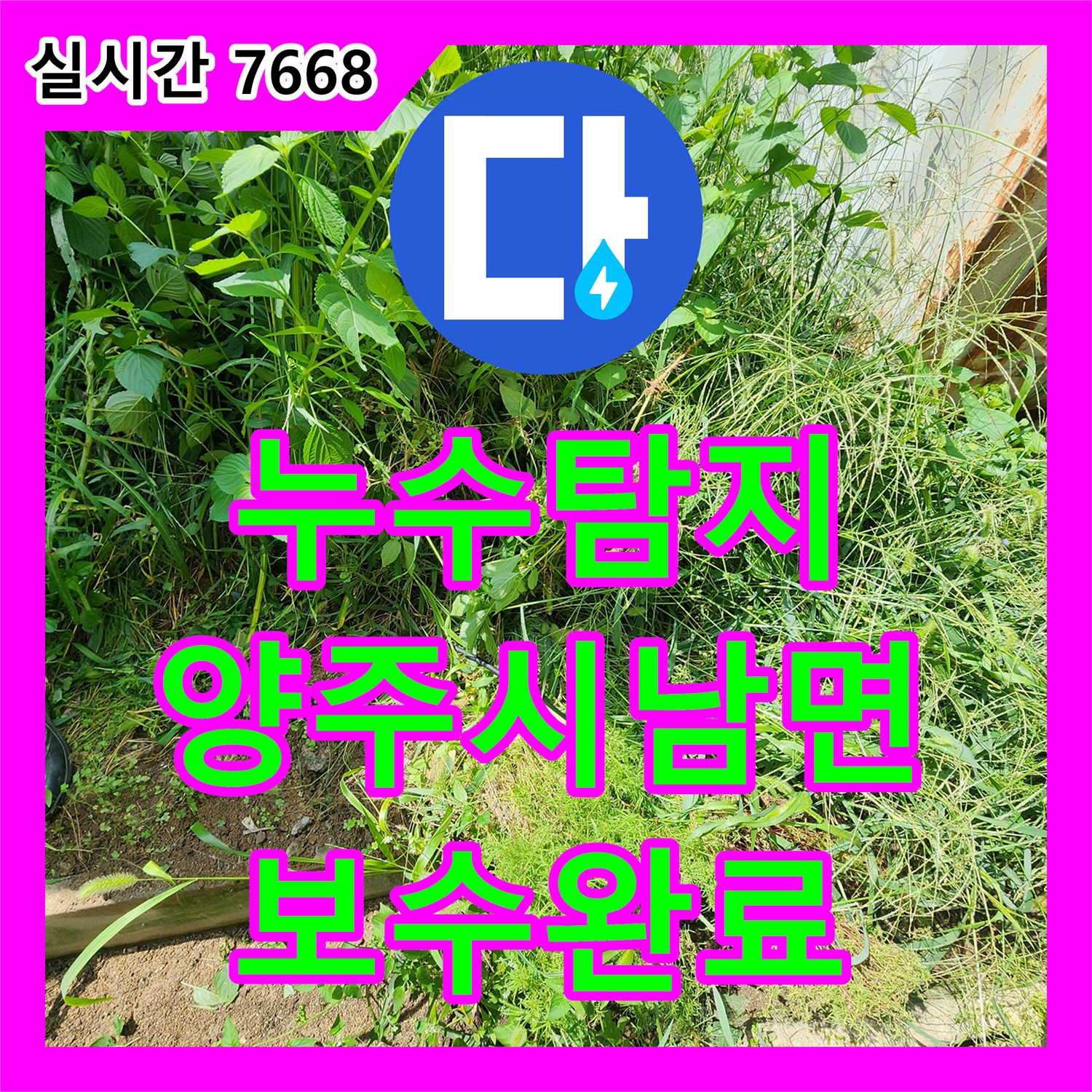누수탐지 계량기가 계속 돌아가는 목장 내 매립 배관의 누수 지점을 추적하여 보수한 사례 경기 양주시 남면
