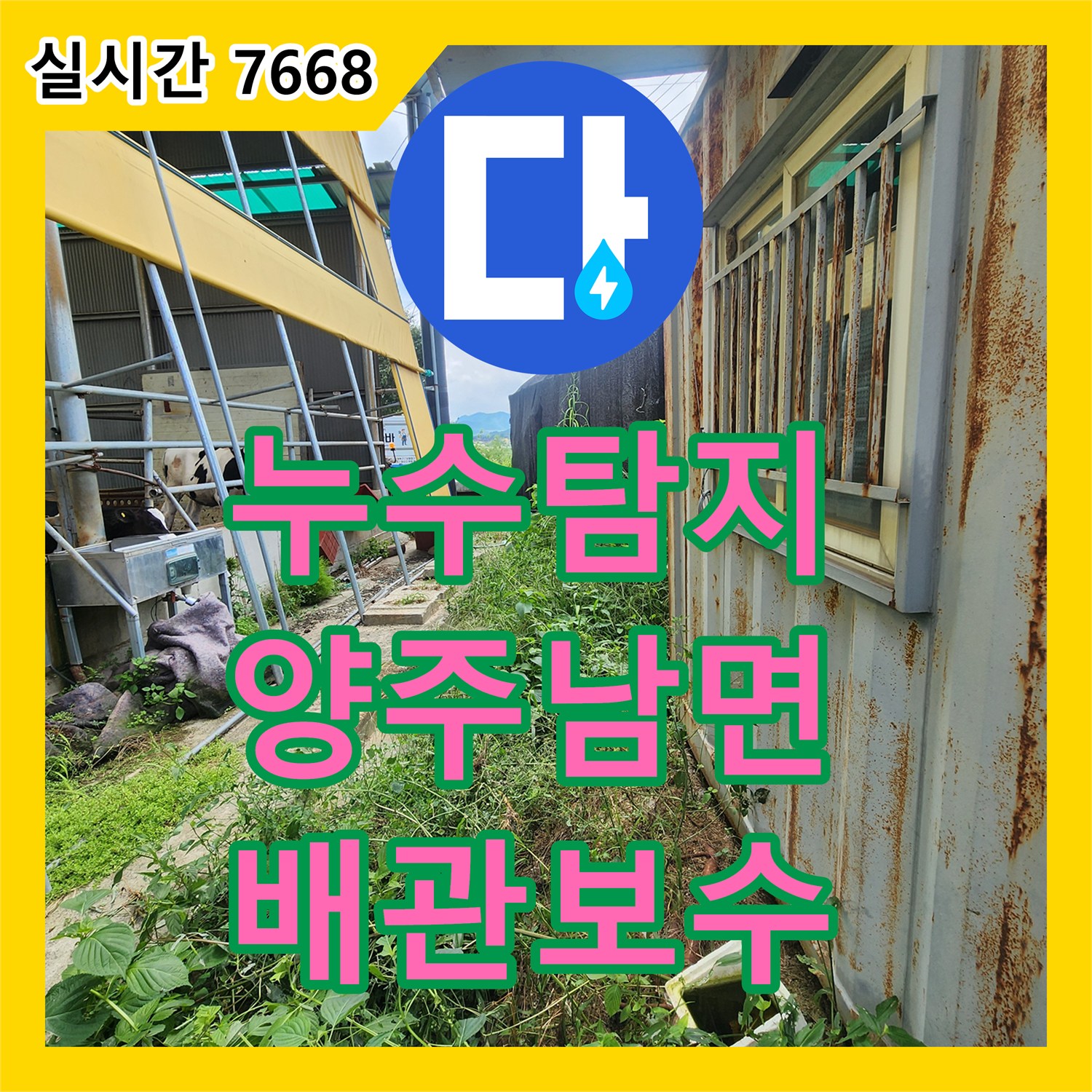 누수탐지 계량기가 계속 돌아가는 목장 현장의 배관 결함을 찾아 보수한 사례 경기 양주시 남면