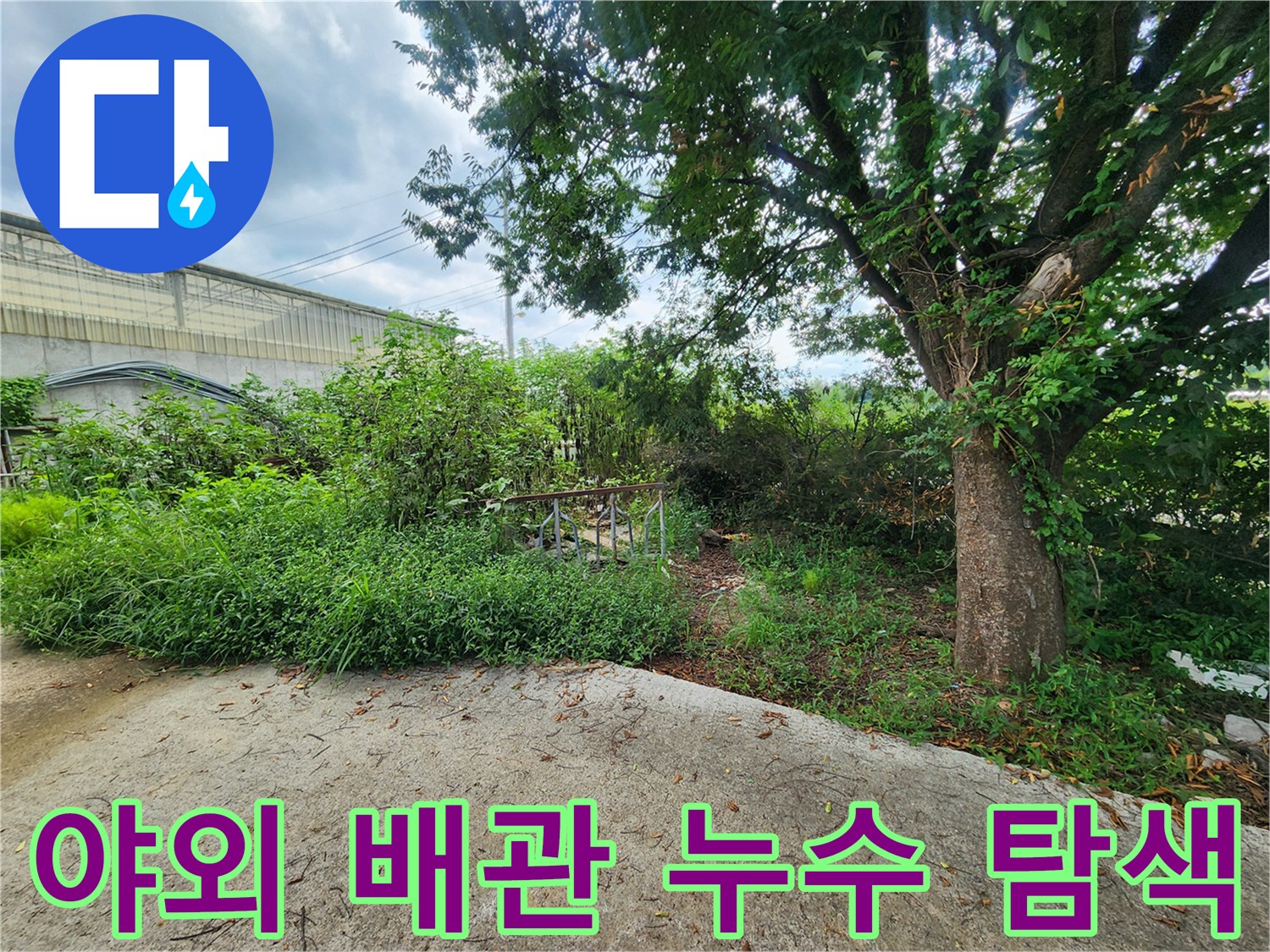 무성한 잡풀 사이로 보이는 외부 상수도 배관 및 진단 장비 사용 현장