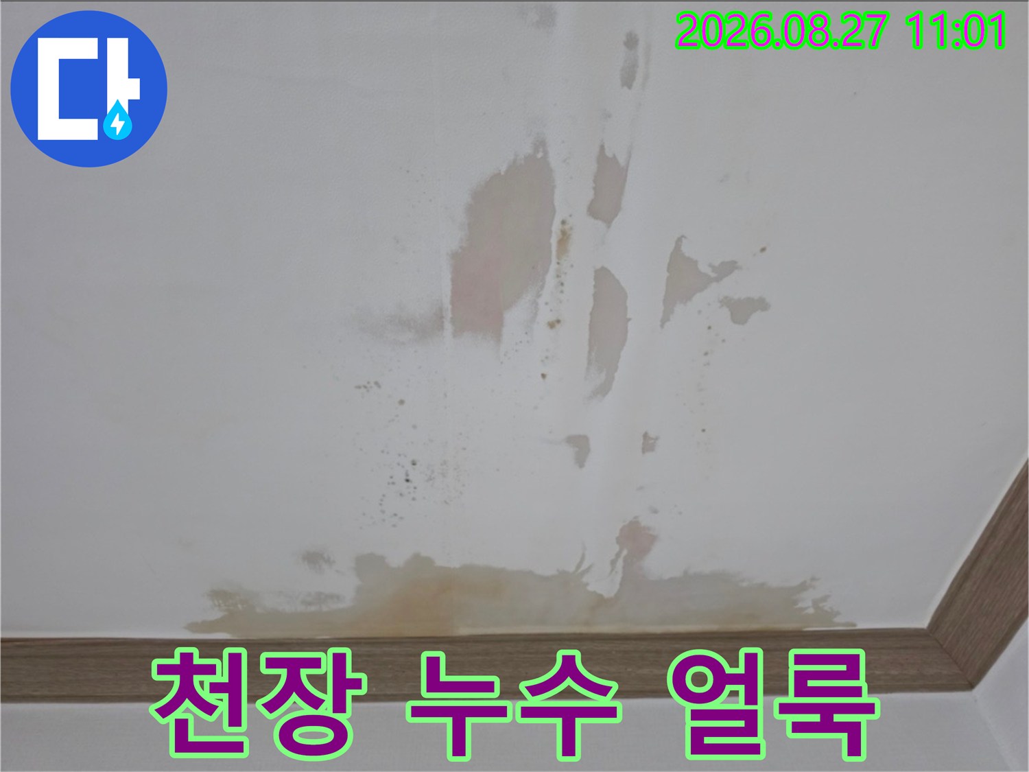 금산읍 아파트 천장 벽지에 발생한 누수 얼룩과 변색 현상