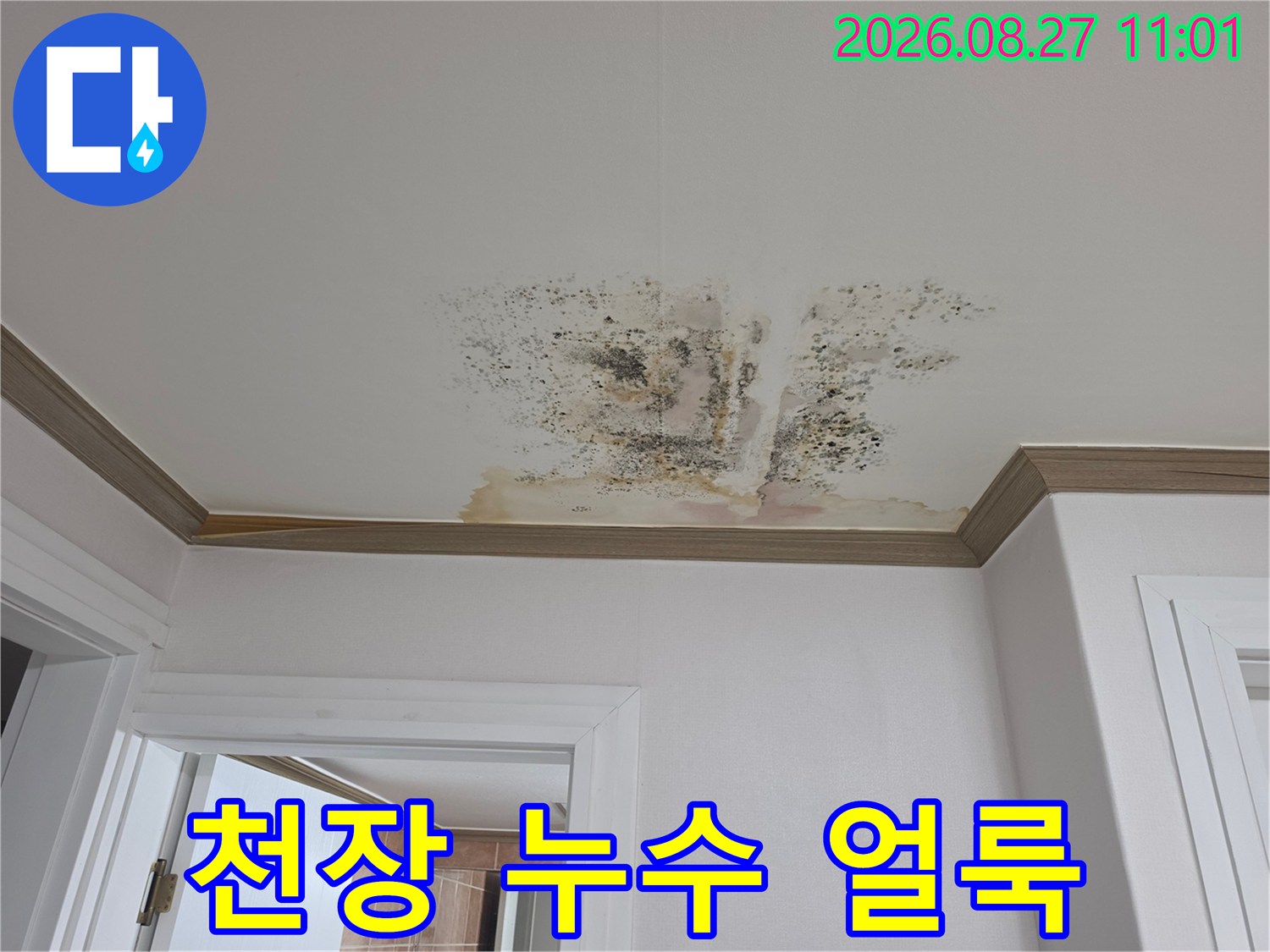 금산읍 아파트 천장 벽지에 발생한 누수 흔적과 곰팡이 현상
