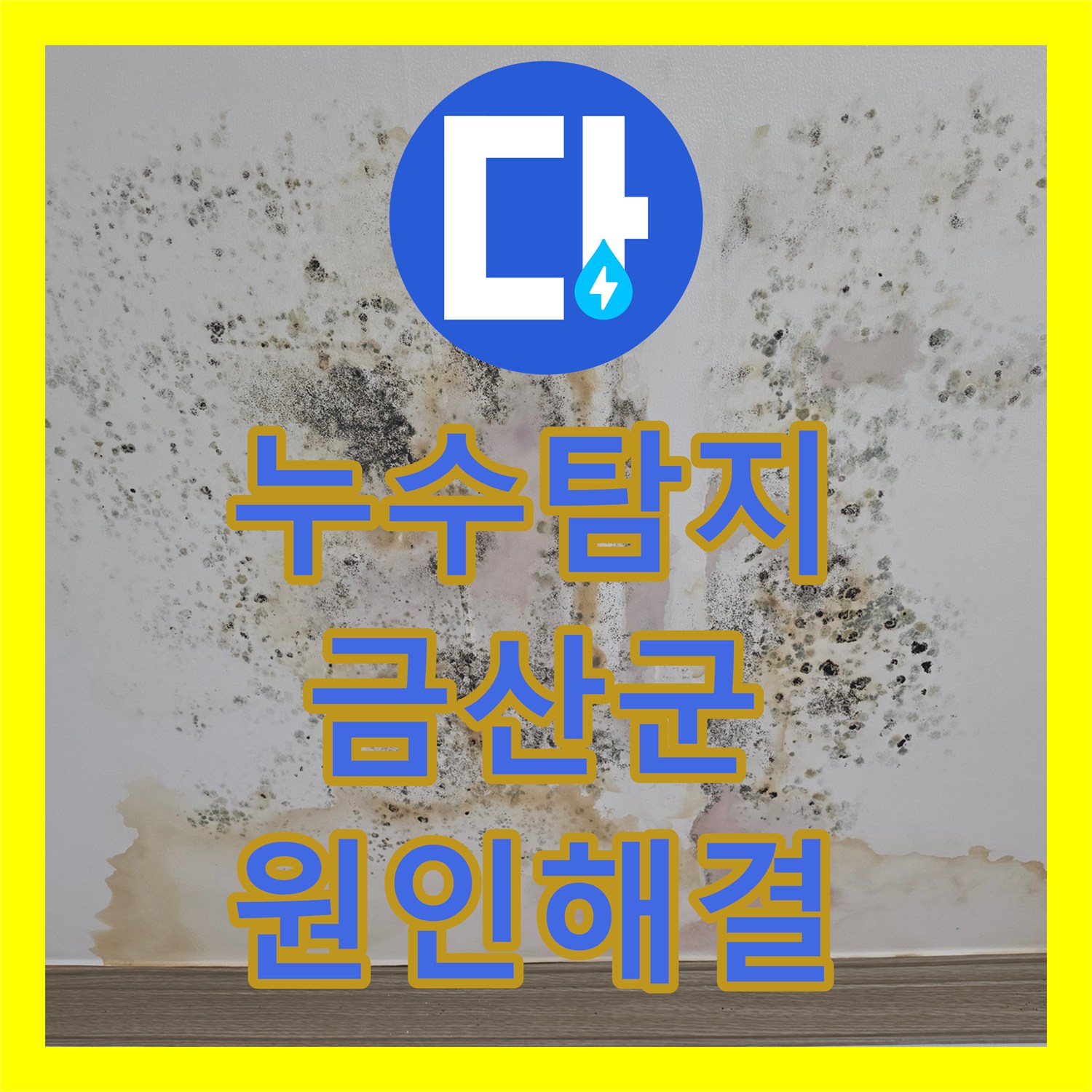 누수탐지 직수 변기 앵글 밸브 결함으로 인한 천장 오염 수리 과정 금산읍