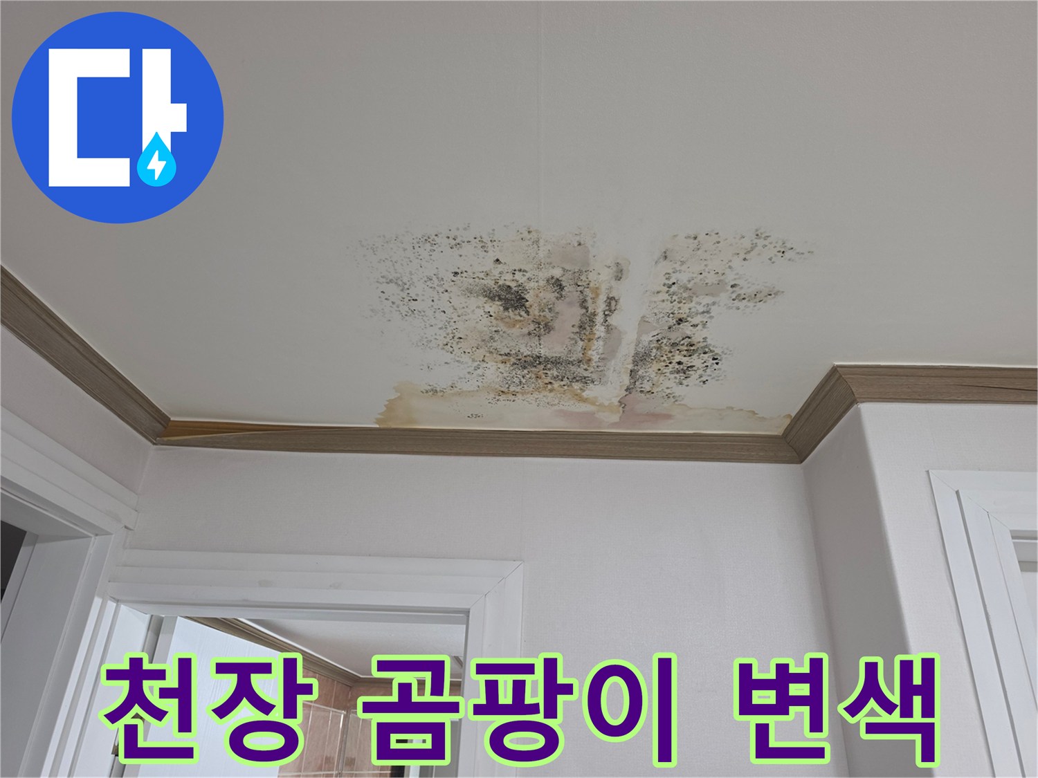 아파트 안방 천장에 발생한 넓은 범위의 곰팡이와 물자국 현상