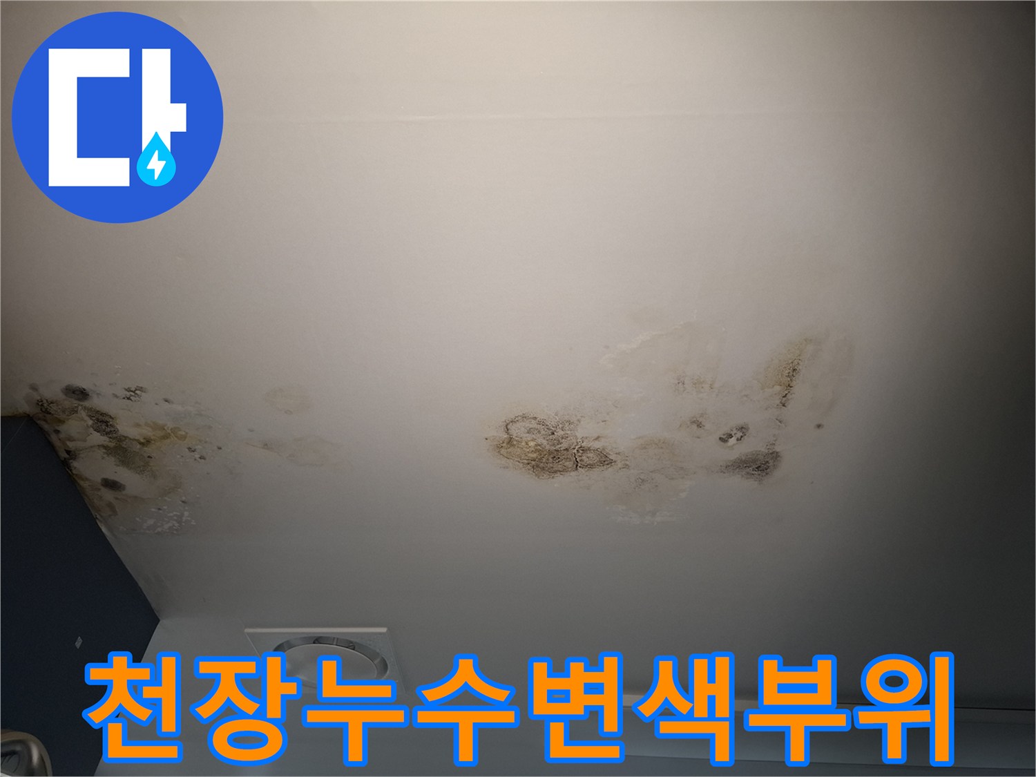 누수로 인해 변색되고 곰팡이가 생긴 천장 텍스 사진