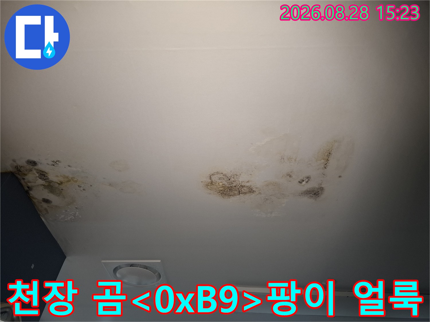천장 마감재에 넓게 퍼진 곰팡이와 물자국 흔적