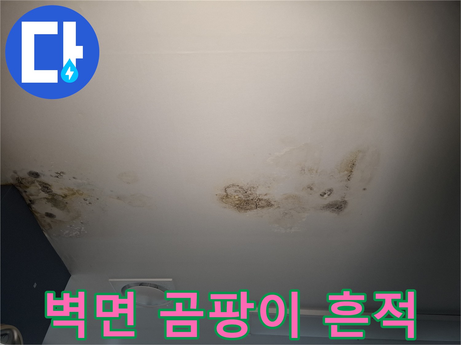 천장과 벽면 경계 부위에 발생한 광범위한 곰팡이 오염 상태