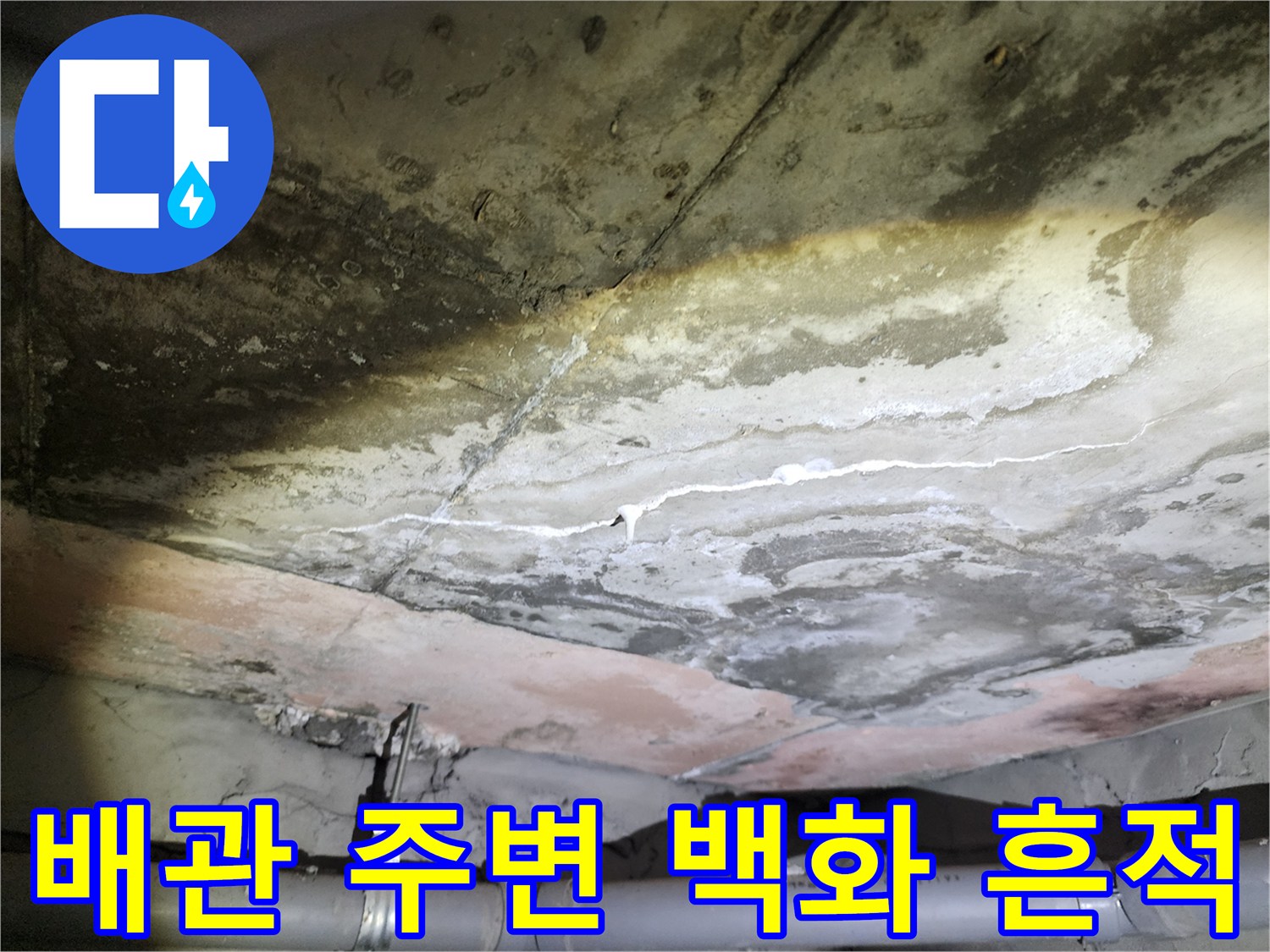 아래층 화장실 천장-콘크리트 틈새로 보이는 배관 주변의 습기와 석회 자국