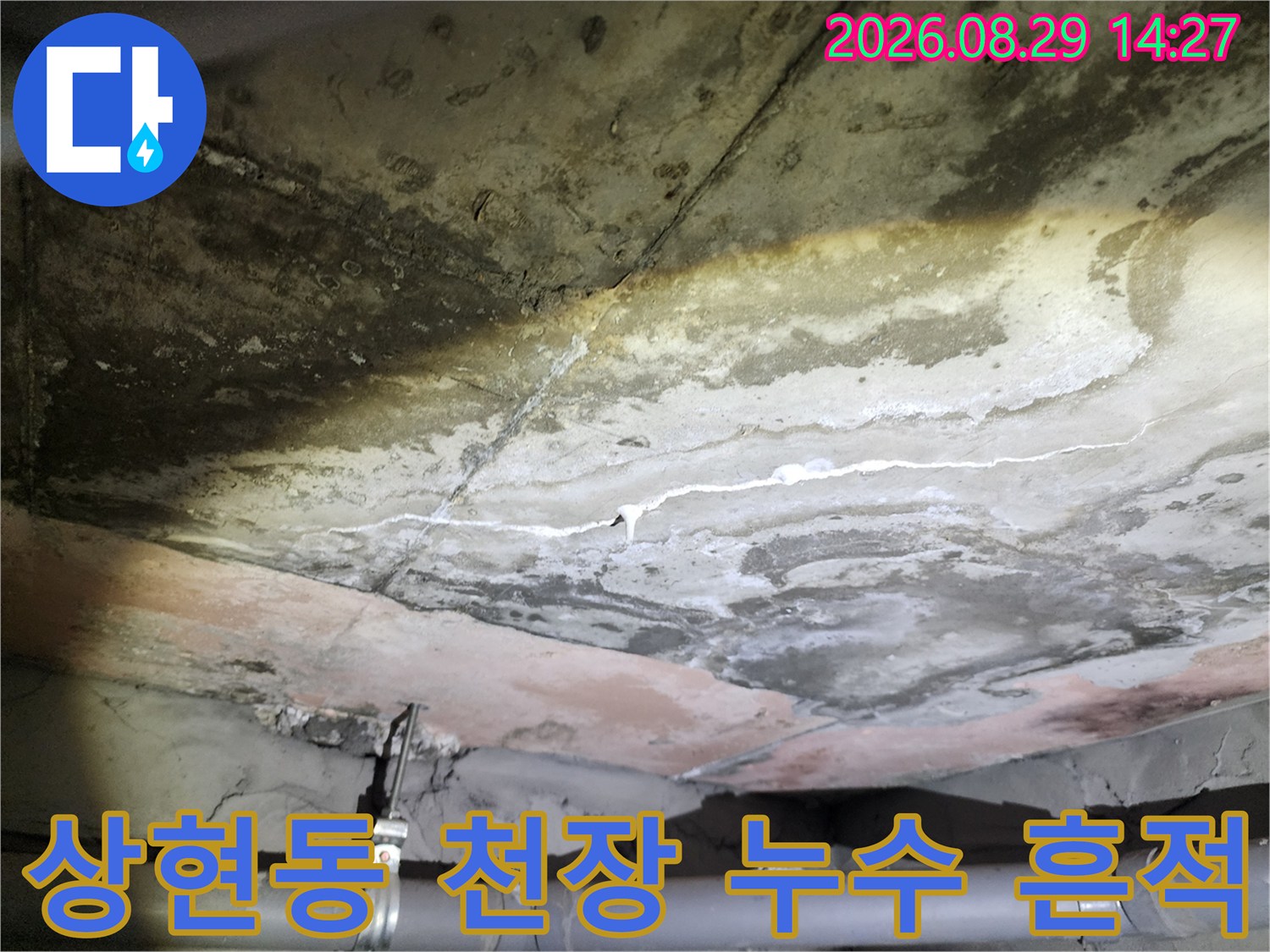 용인 상현동 아파트-화장실 천장 슬라브의 누수 얼룩과 배관 상태