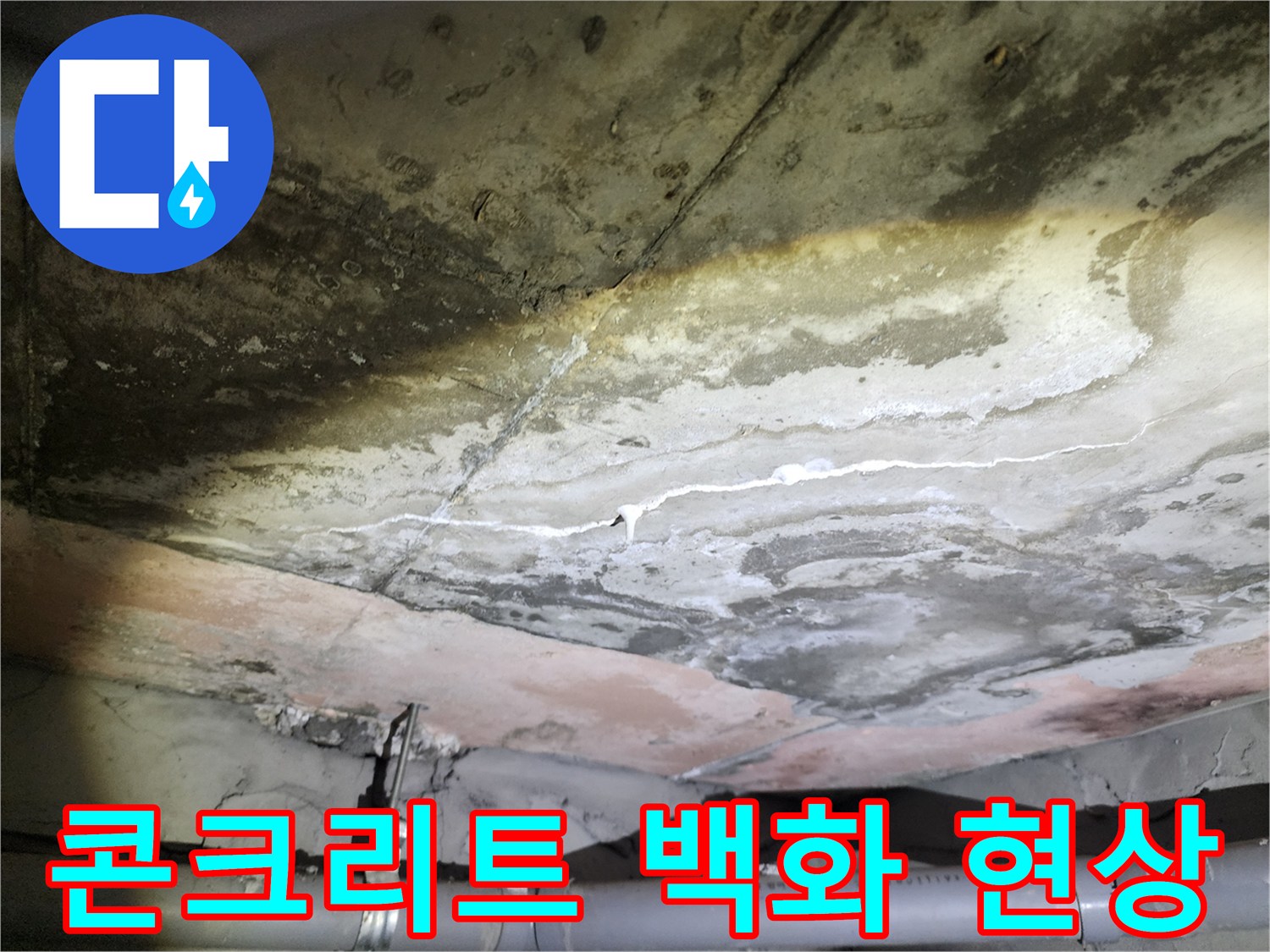 용인 수지 화장실-천장 배관 주변의 젖은 콘크리트와 하얀 석회 자국