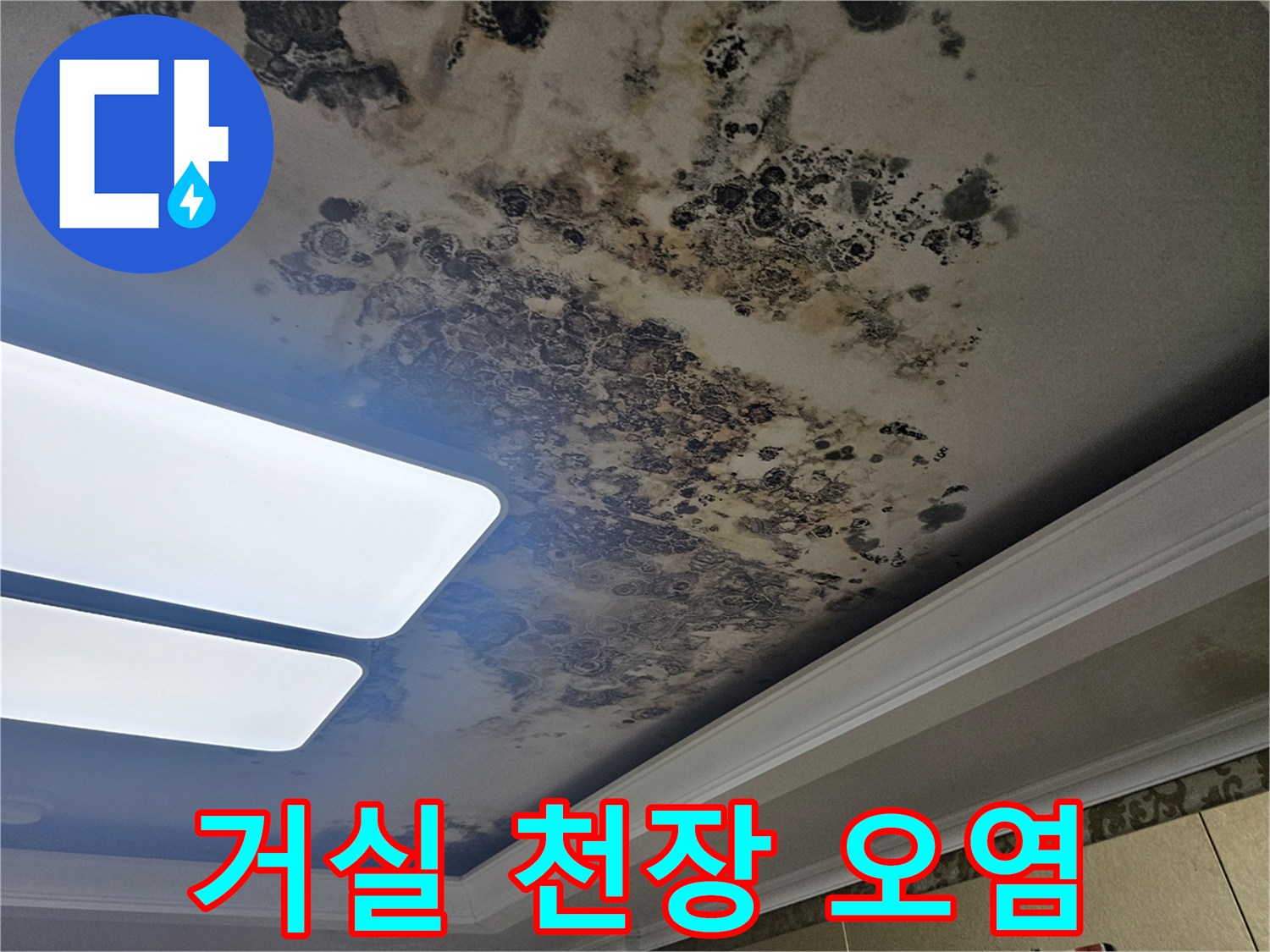 물샘 현상으로 인해 검게 변한 천장 마감재와 곰팡이 흔적
