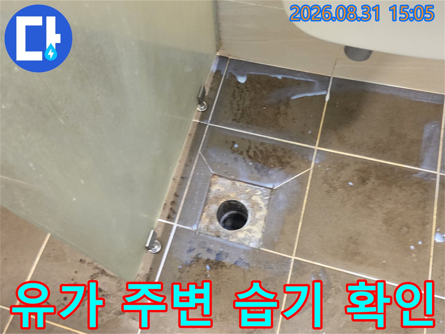 배수구 유가와 타일 경계면의 젖은 상태를 근접 촬영한 사진