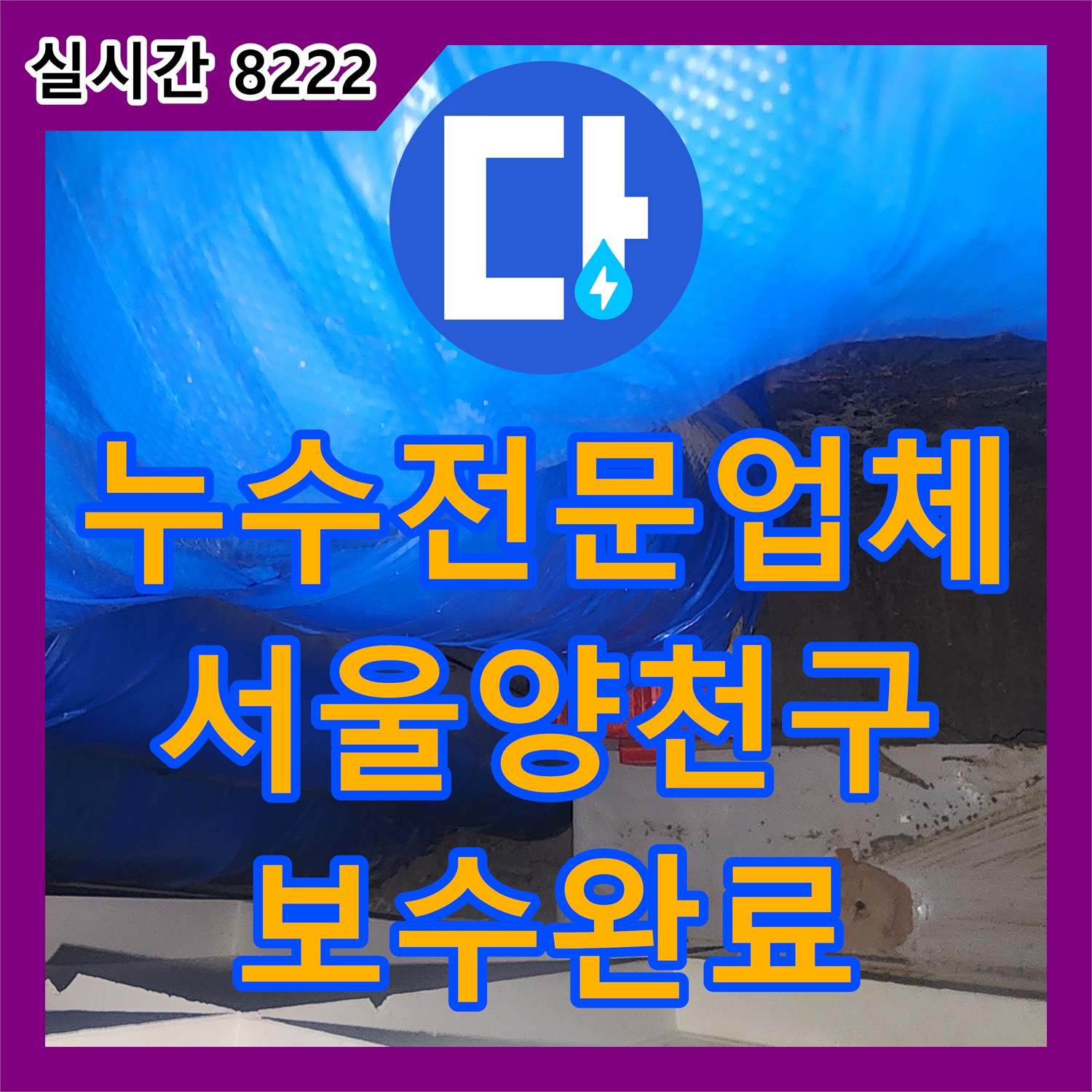 누수전문업체 아랫층 천장 하수관 탈거와 연장 보수로 욕실 물샘을 잡은 서울 양천구 사례