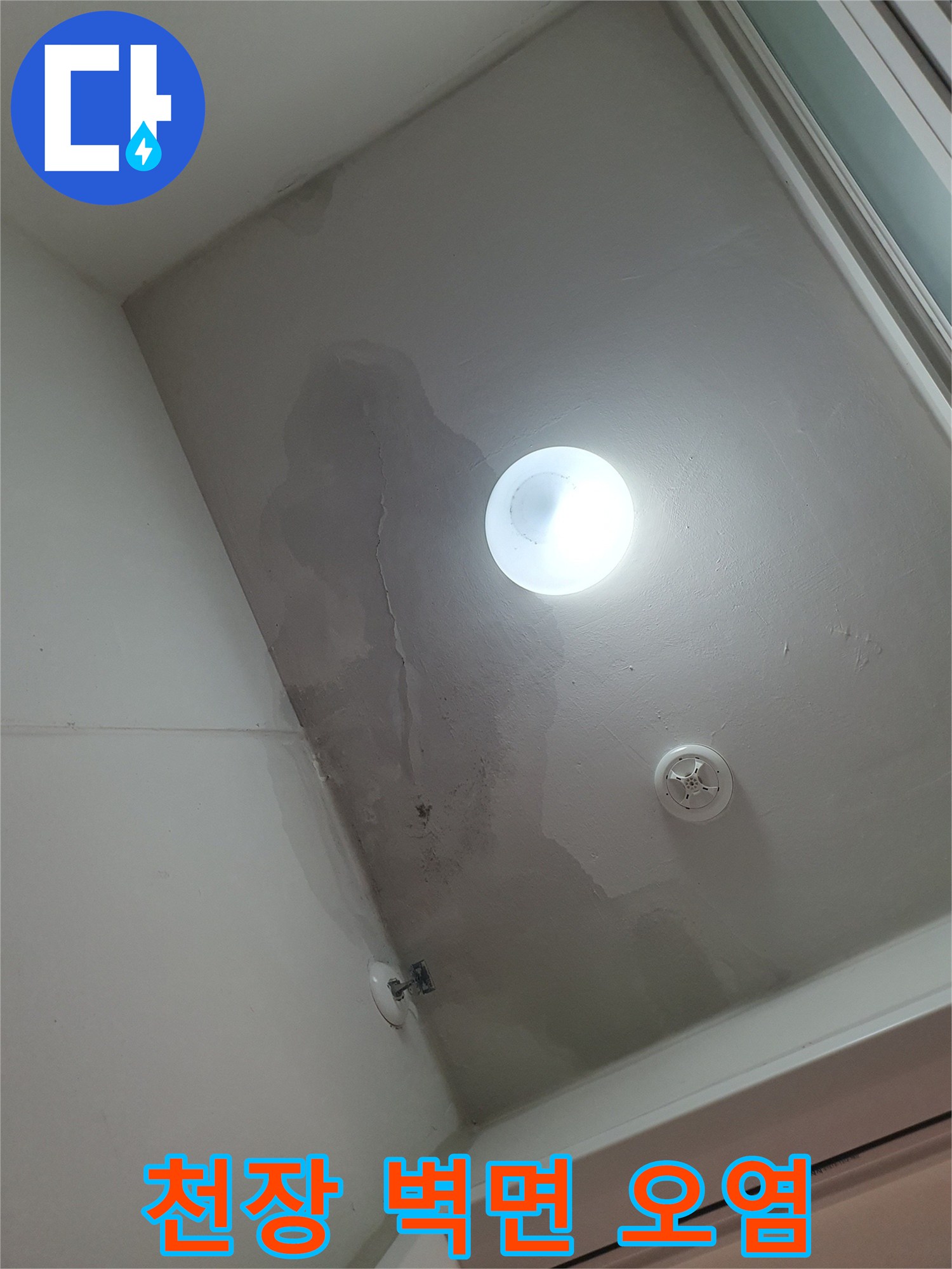 세탁실 천장 구석까지 번진 누수 흔적과 젖은 벽면