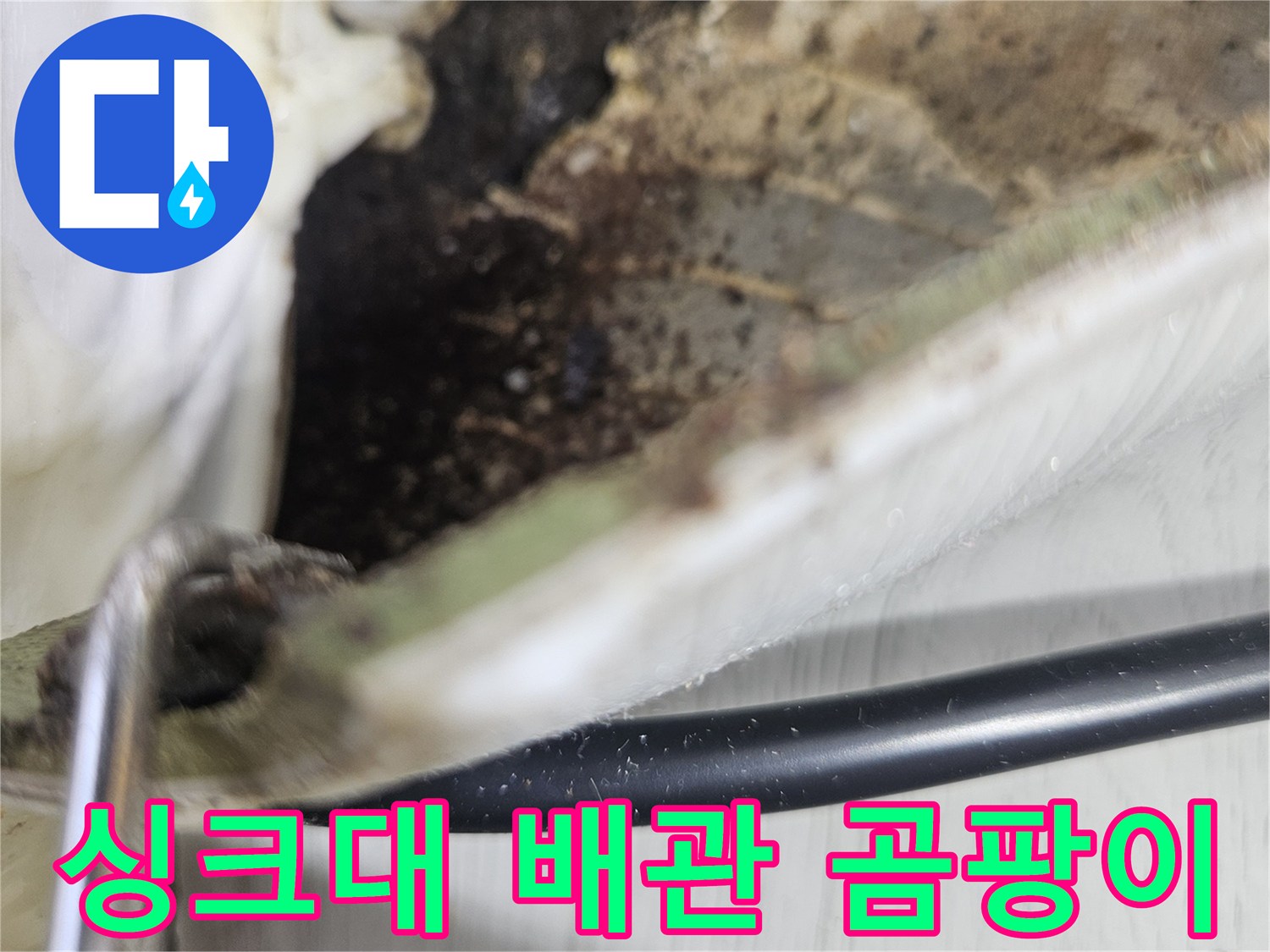 싱크대 하부 벽면-검은 곰팡이가 번진 누수 부위