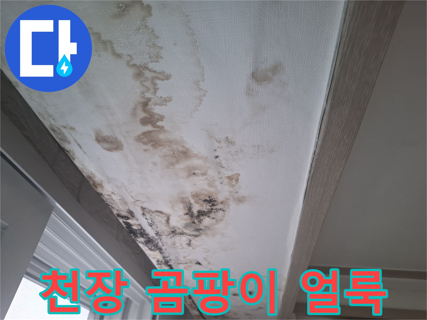 물샘-현상으로-인해-오염된-거실-천장-마감재