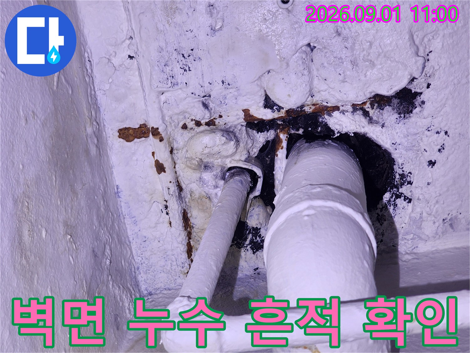 배관 주변 벽면의 물자국과 곰<0xAE>팡이 발생 부위