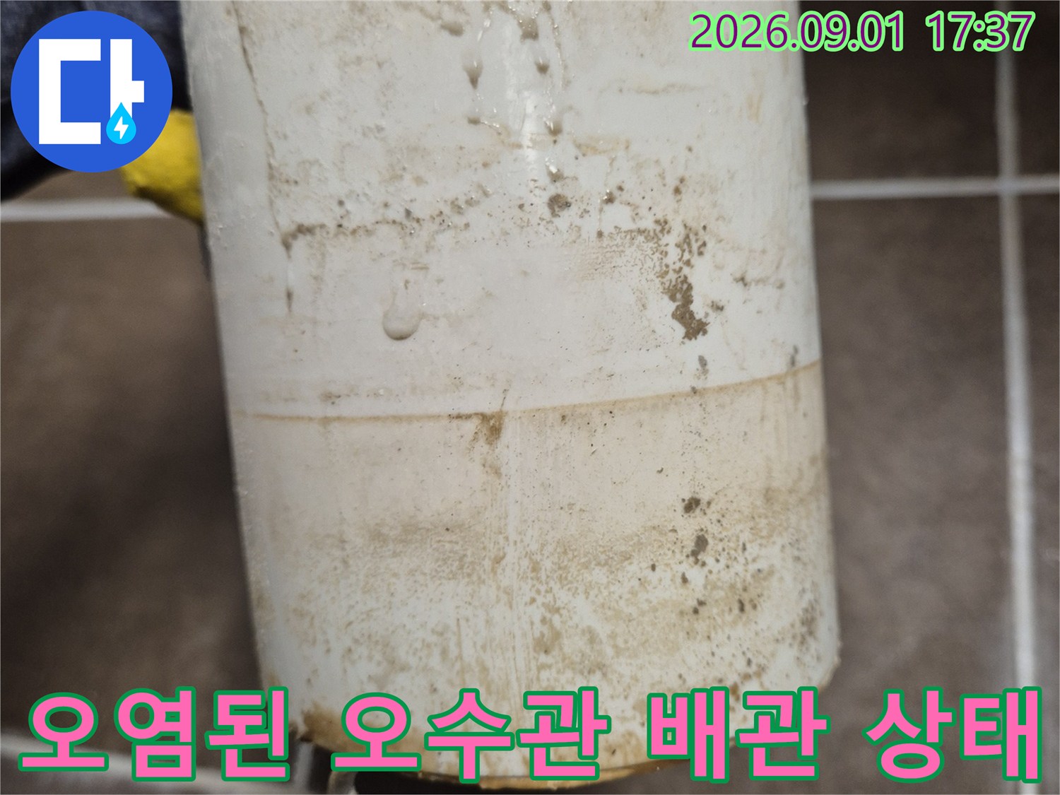 이물질과 얼룩으로 오염되어 있는 천장 오수관 배관의 모습