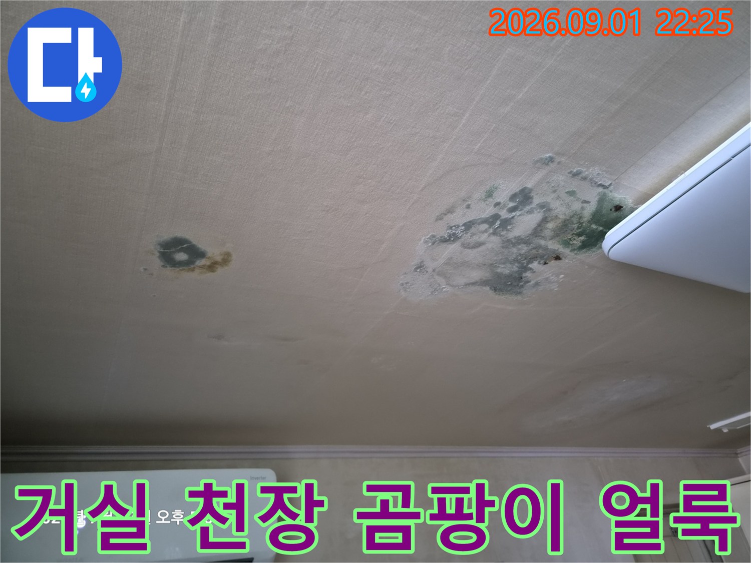 철원군 서면 아랫집 거로실 천장의 곰팡이와 누수 흔적 사진