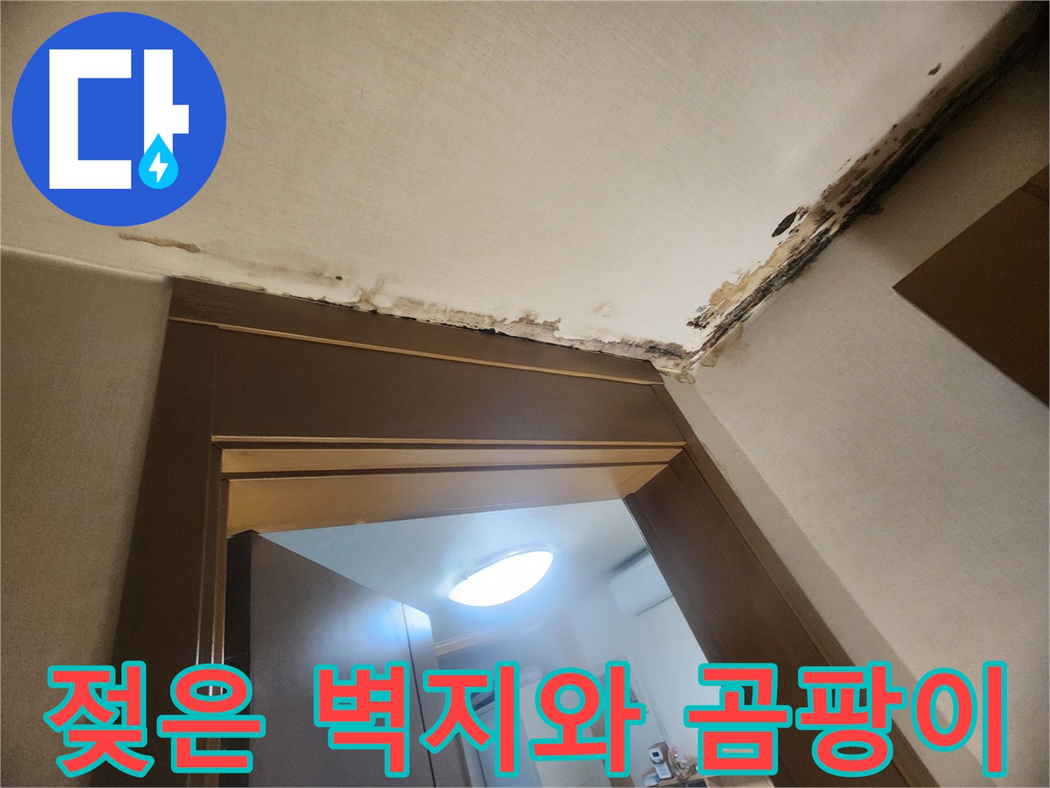 누수로 인해 변색되고 곰팡이가 생긴 천장 모서리