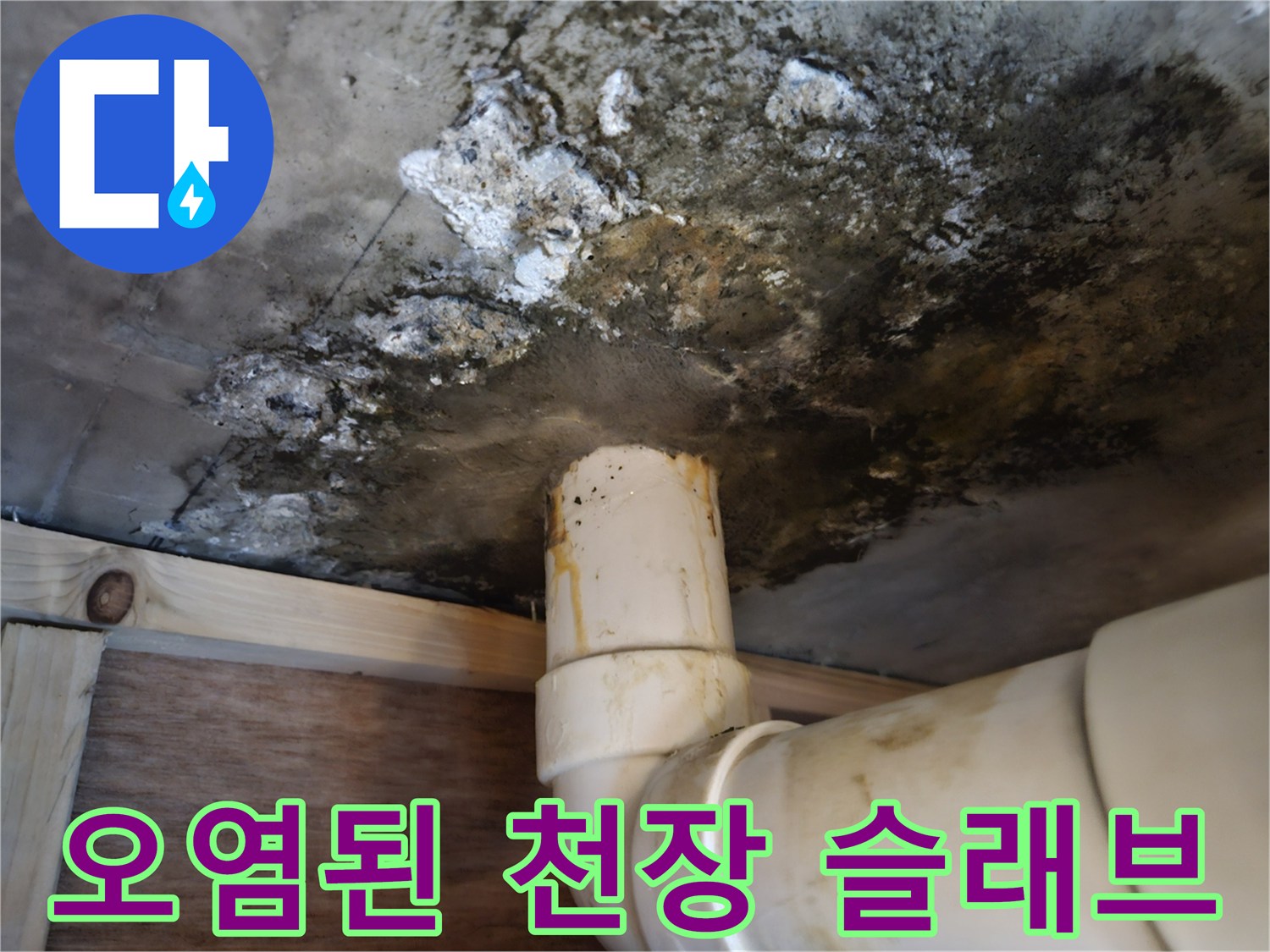 배수관 주변-슬래브 곰팡이 및 변색 부위