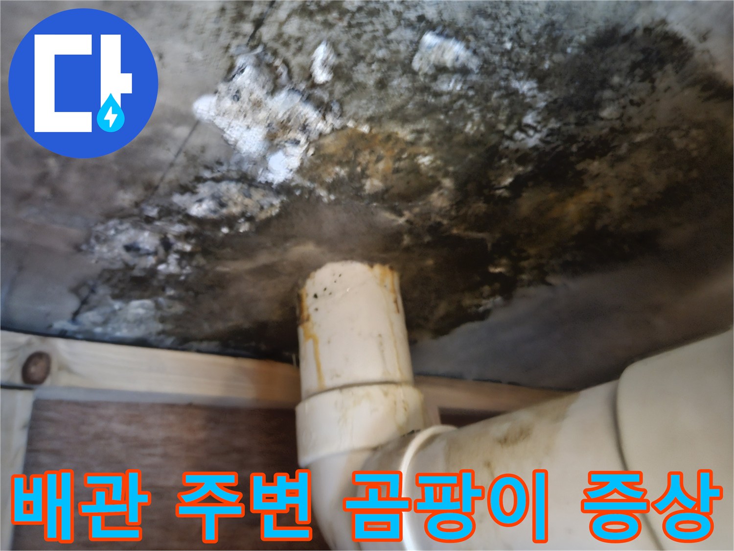 천장-배관-연결부-근처에-발생한-심한-곰팡이와-얼룩