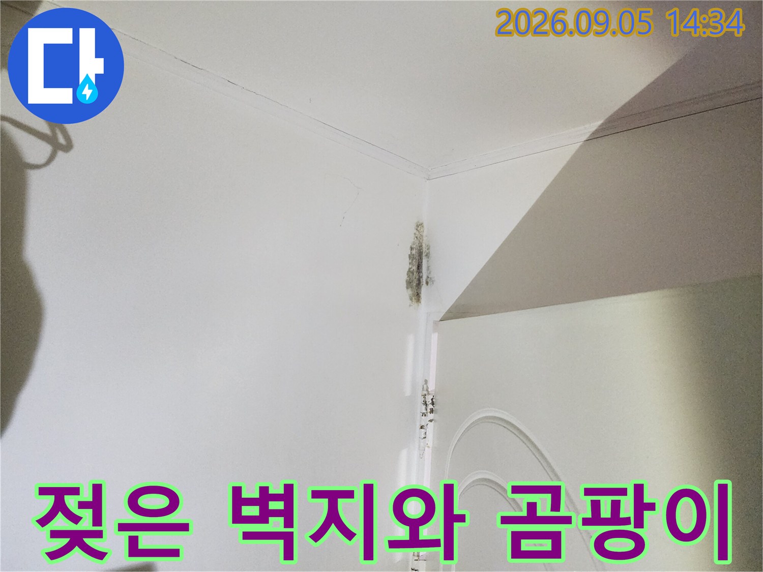 신사동 누수 현장-문틀 상단 벽지에 발생한 곰팡이와 습기 흔적