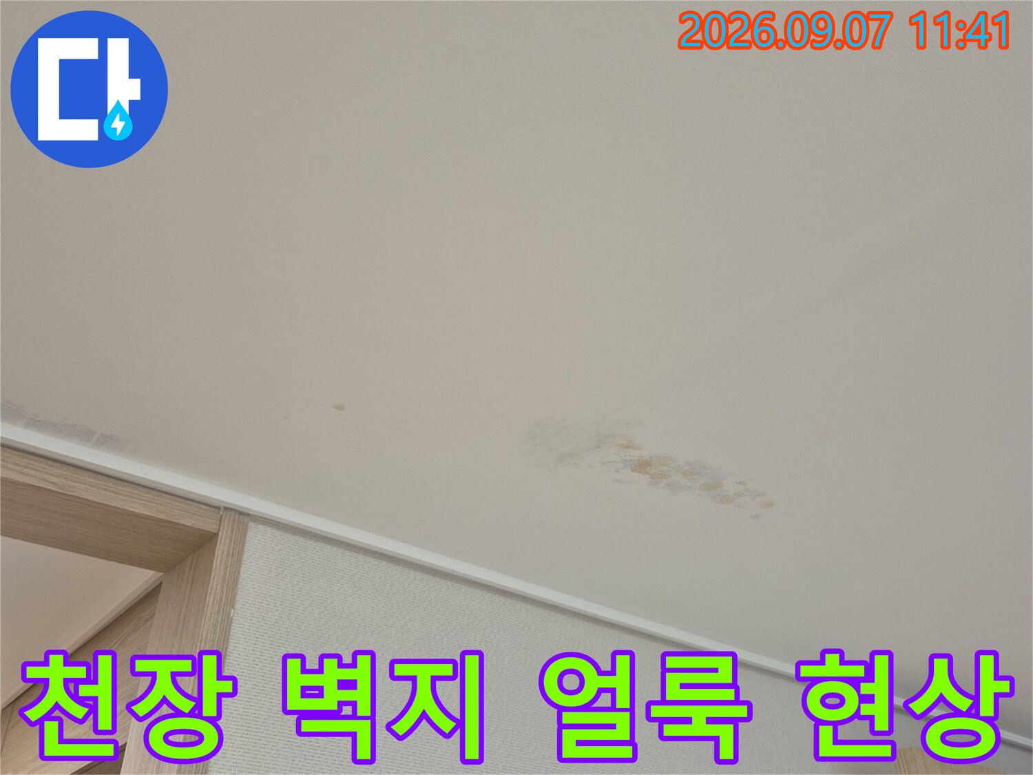 용인 동천동 아파트 천장 벽지에 발생한 갈색 누수 흔적과 변색된 부위