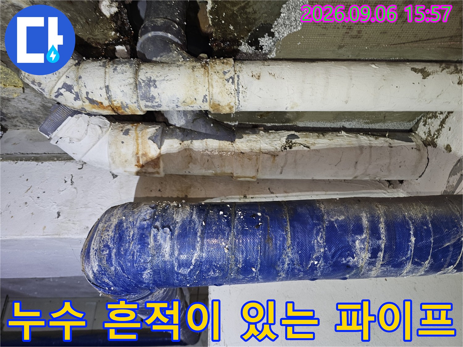 갈색 부식과 검은 곰팡이가 나타난 천장 배관 시설
