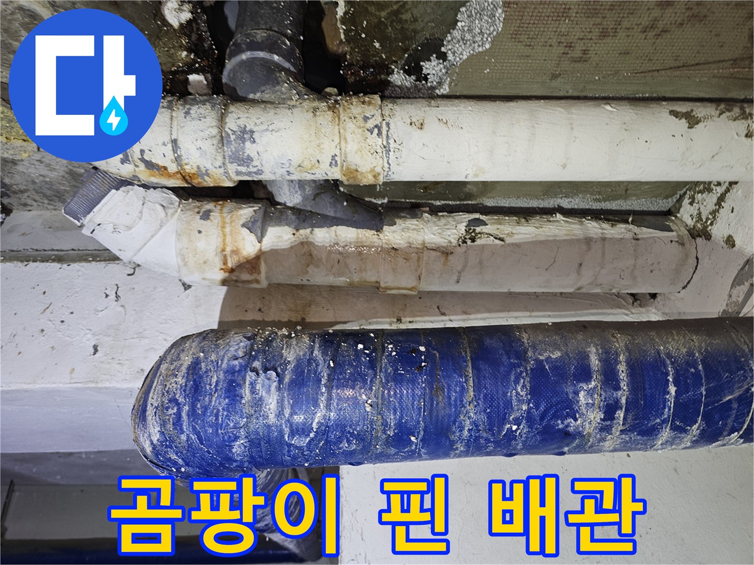 누수가 진행된 배관 - 습기로 인한 곰팡이 번식 상태