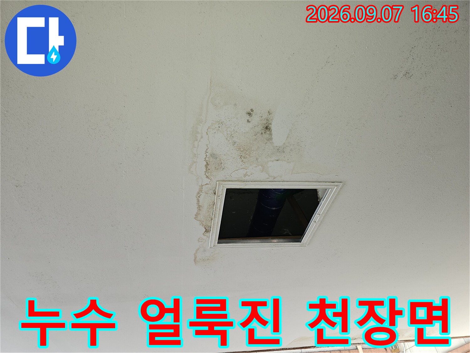 물기가 스며들어 곰팡이가 번진 주차장 천장 마감재