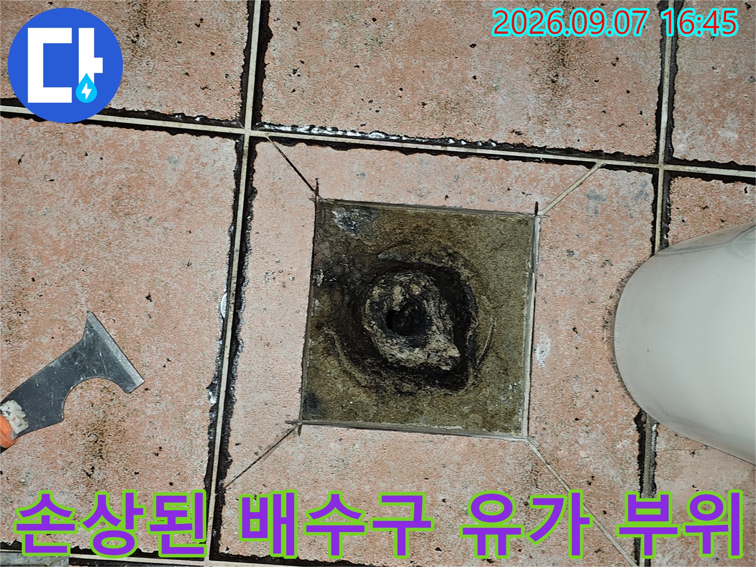 오염된 배수관 주변 타일 틈새와 노출된 배수구 내부 모습
