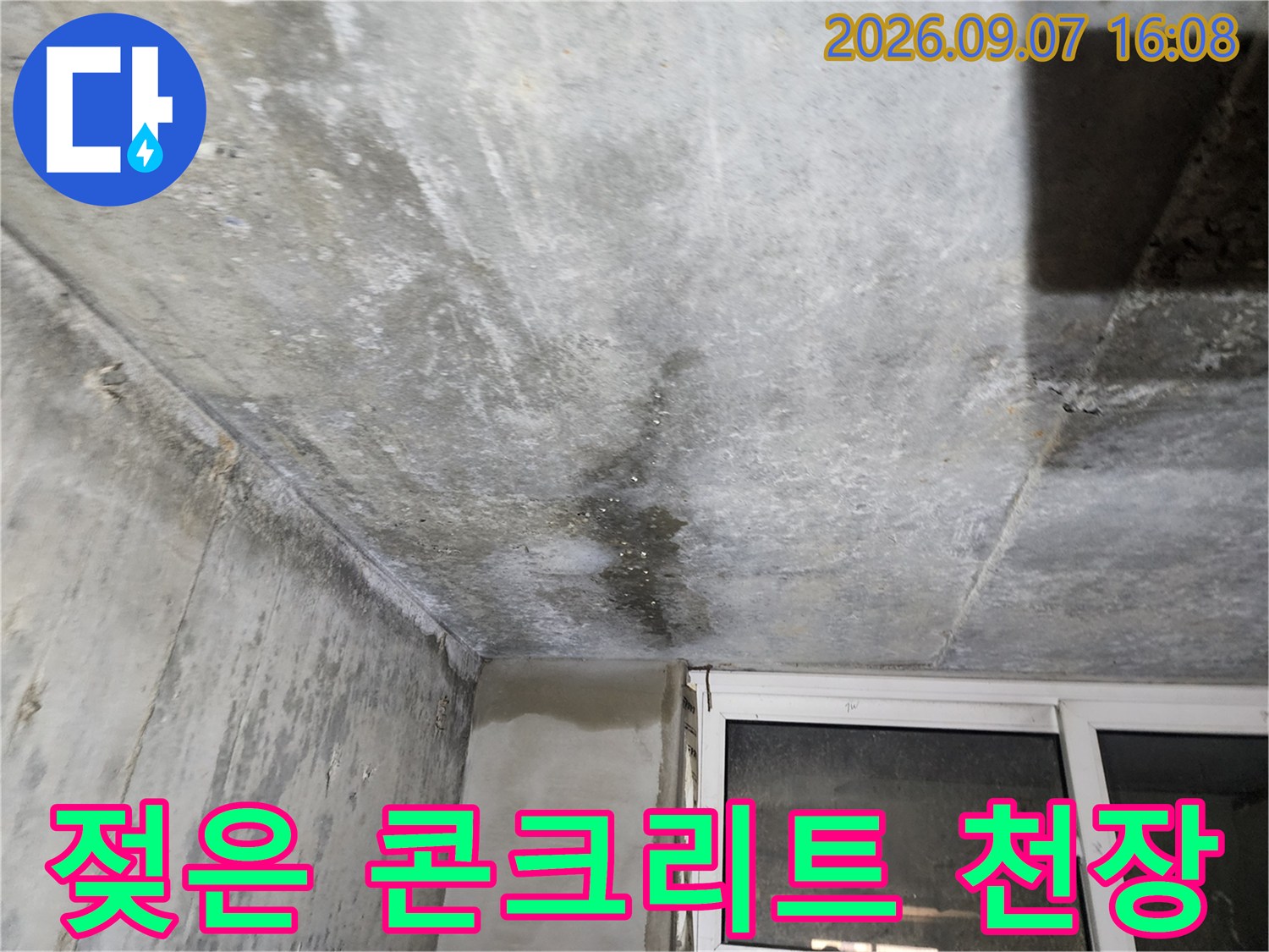 연천 전곡 빌라-누수 피해로 인해 어둡게 변한 지하층 콘크리트 천장