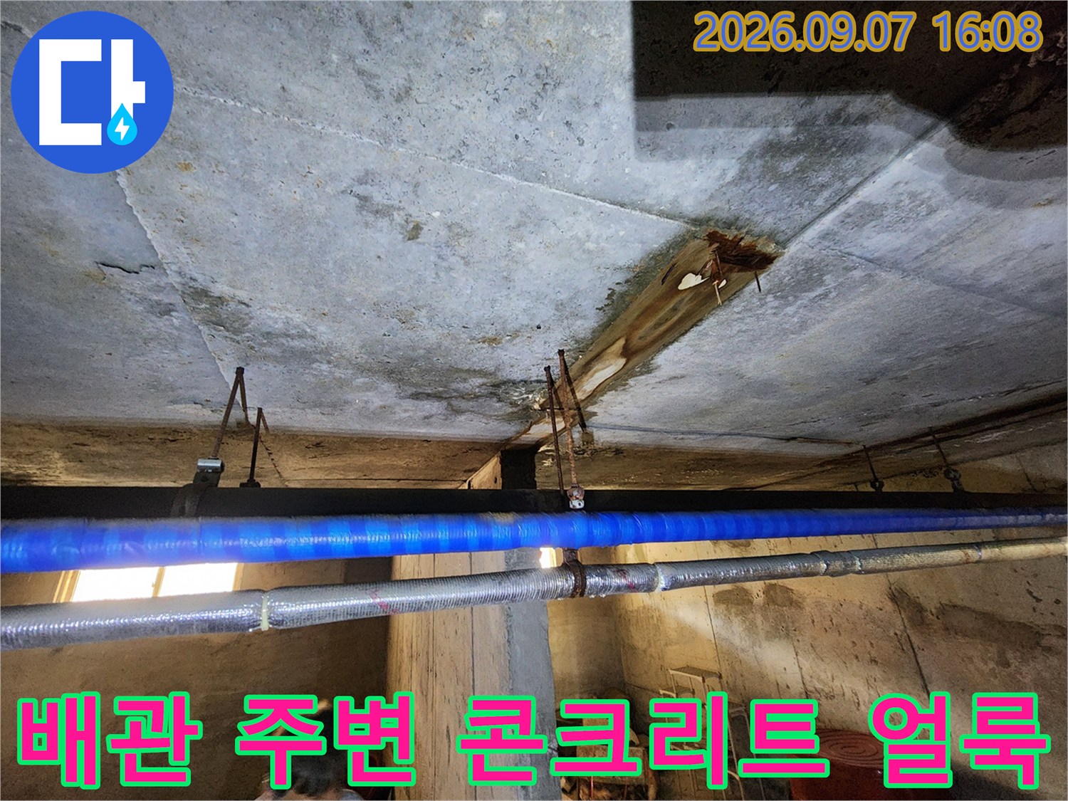 연천 전곡읍 지하 천장-누수로 인해 변색된 콘크리트 슬라브 표면