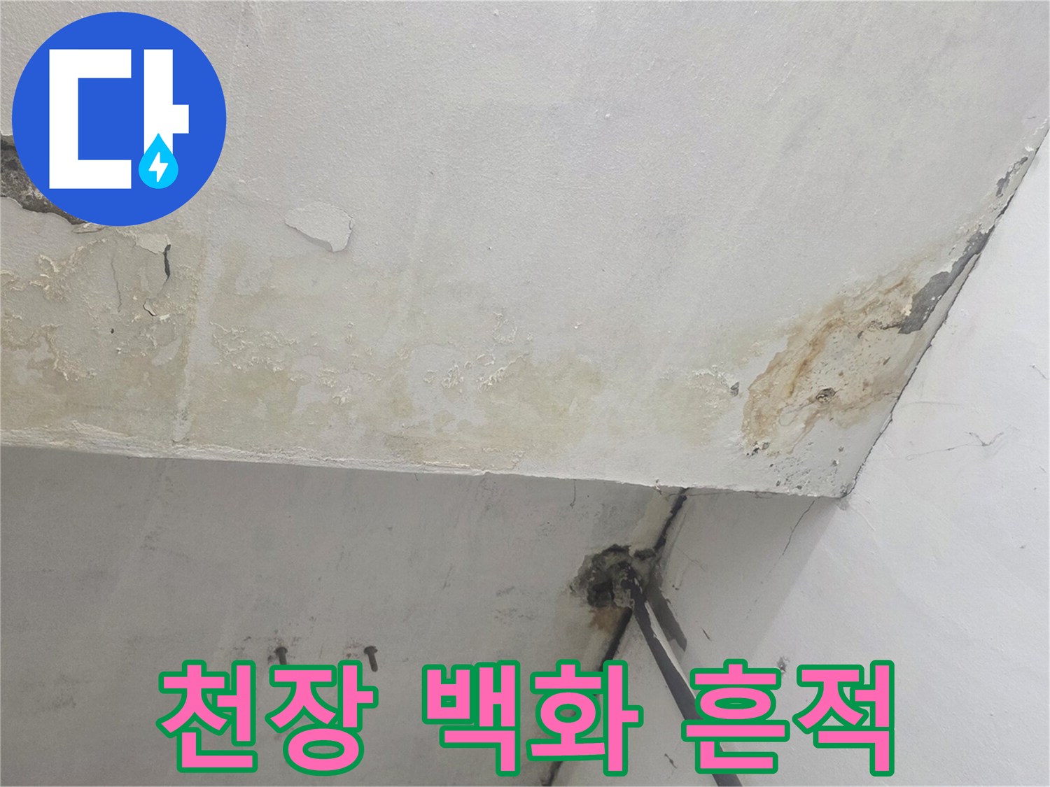 강서구 화곡동-지하 계단 천장에 발생한 백화 현상과 물길 자국