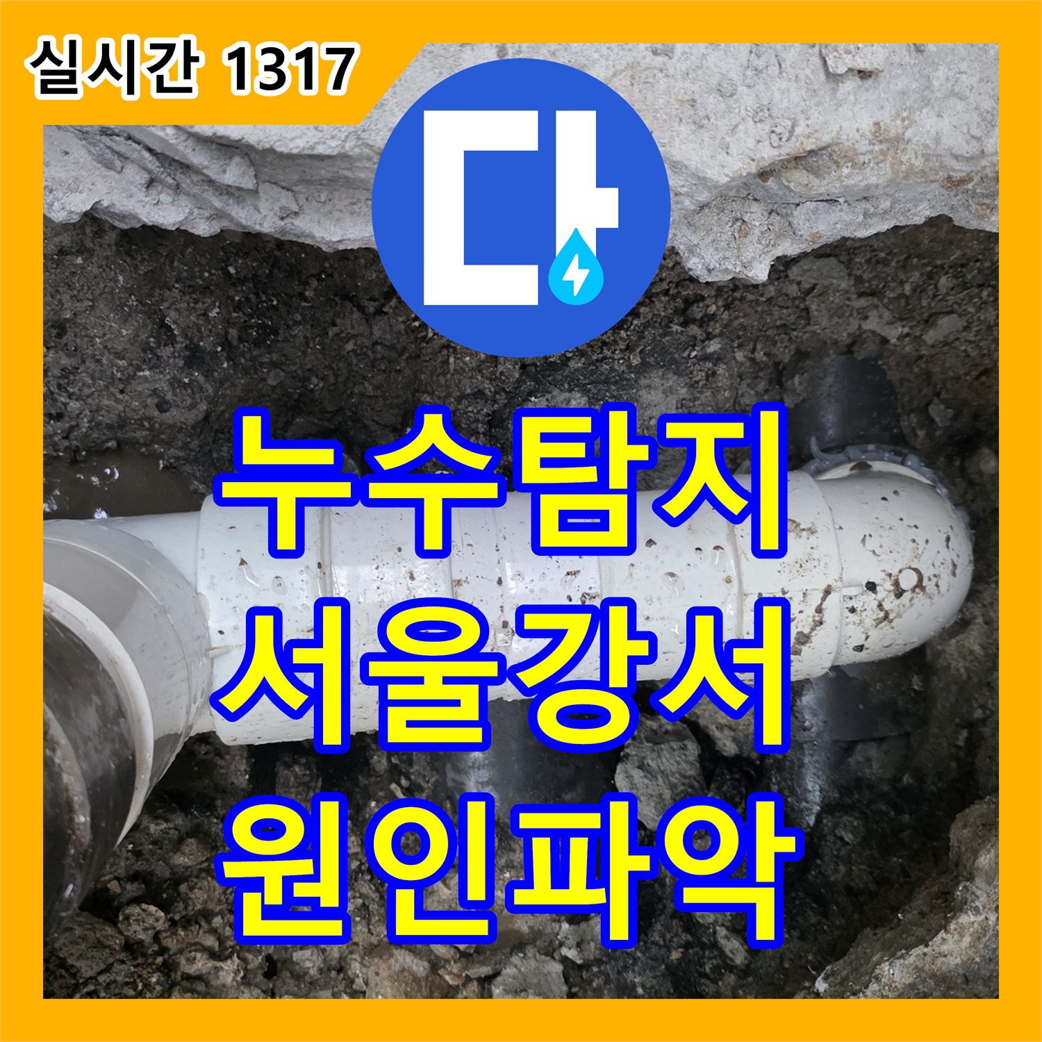누수탐지 지하 공장 천장의 백화 현상과 누수를 유발한 1층 식당 배관 결함을 찾아 수리한 서울 강서구 화곡동 사례