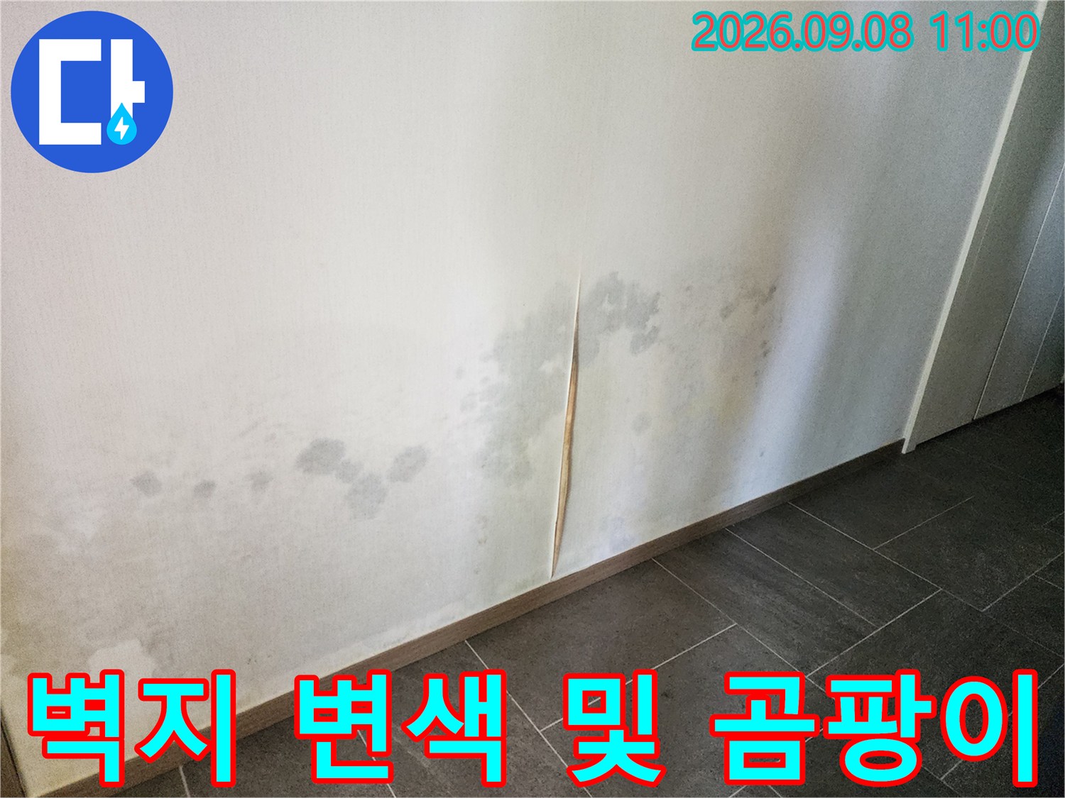 습기로 인해 곰팡이가 발생하고 변색된 벽면의 모습 - 누수 탐지 현장 사진