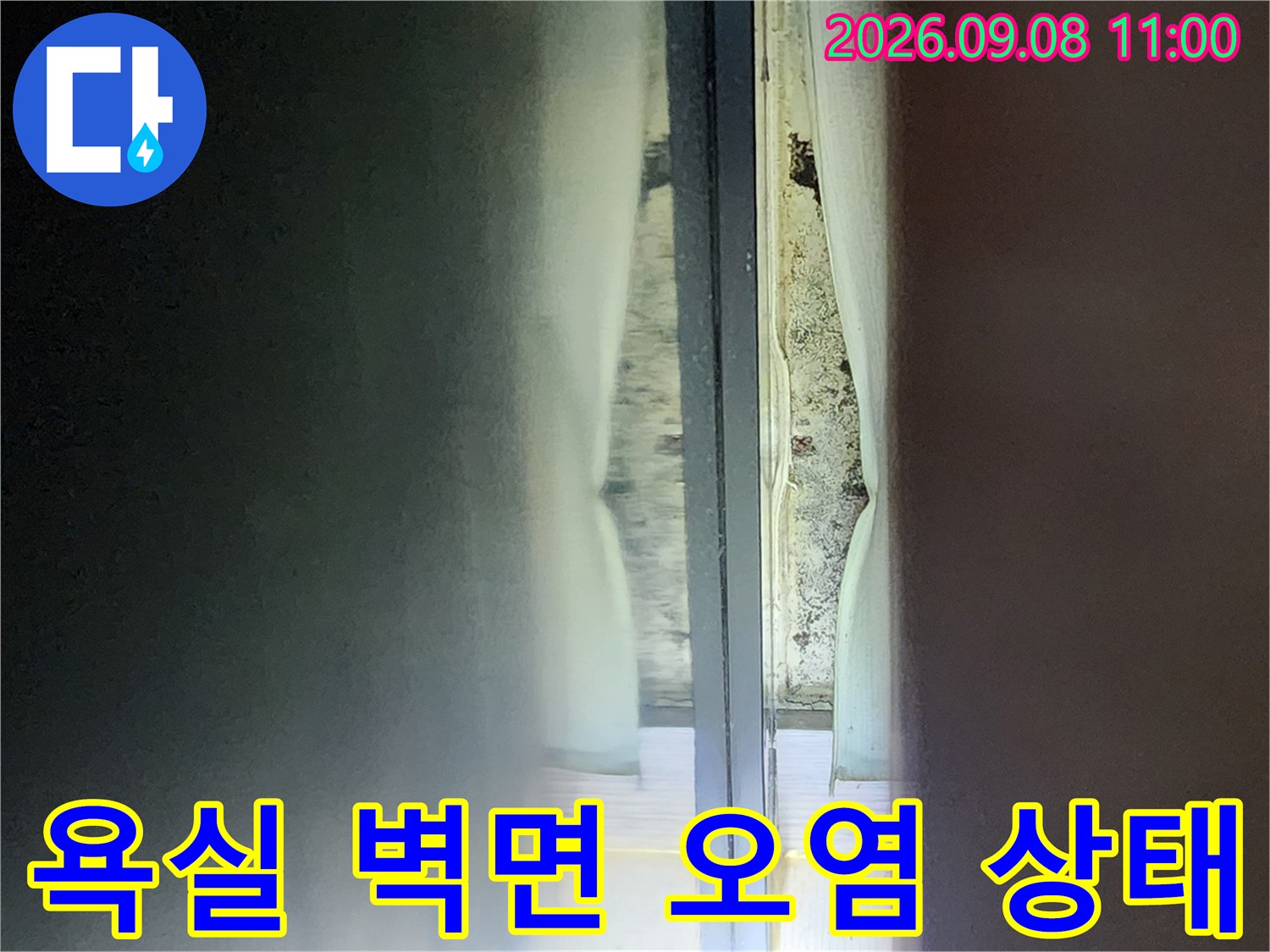 안양 관양동 현장의-샤워부스 내부 벽면 오염과 타일 상태를 보여주는 사진입니다.