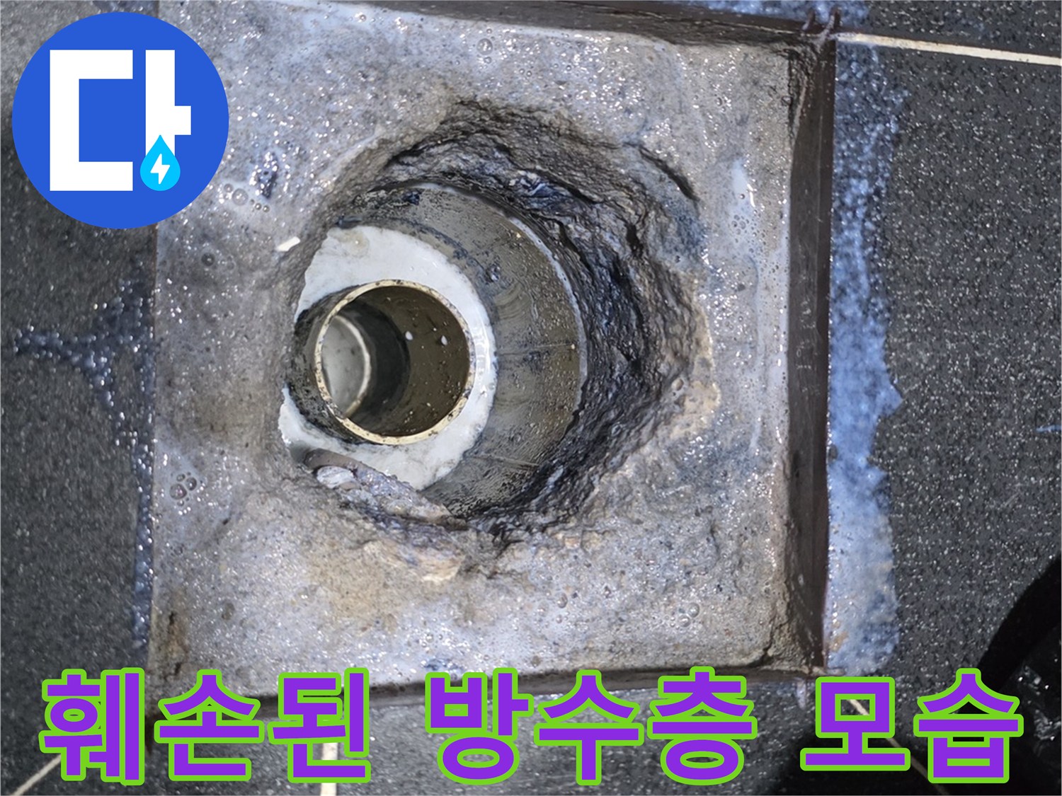 오염되고 갈라진 배수구 주변의 방수재 상태입니다.