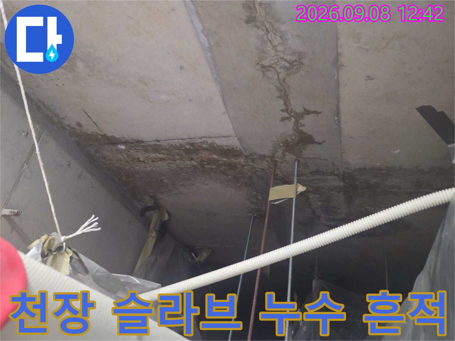 인천 연수구 송도동-아파트 천장 슬라브 부위의 누수 얼룩과 습기 흔적
