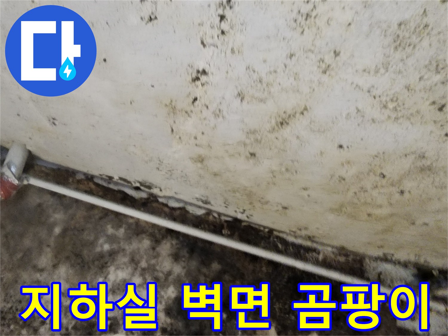 서초구 염곡동 지하 공간의 곰팡이가 발생한 벽면 상태