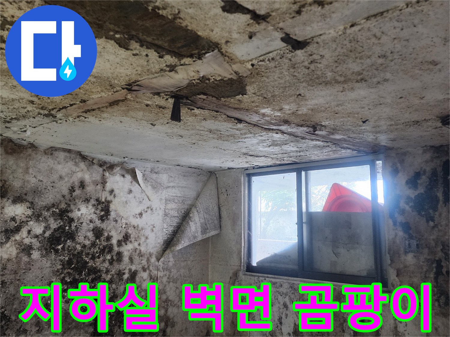 서초구 염곡동 지하실-벽면과 바닥에 퍼진 곰팡이 상태