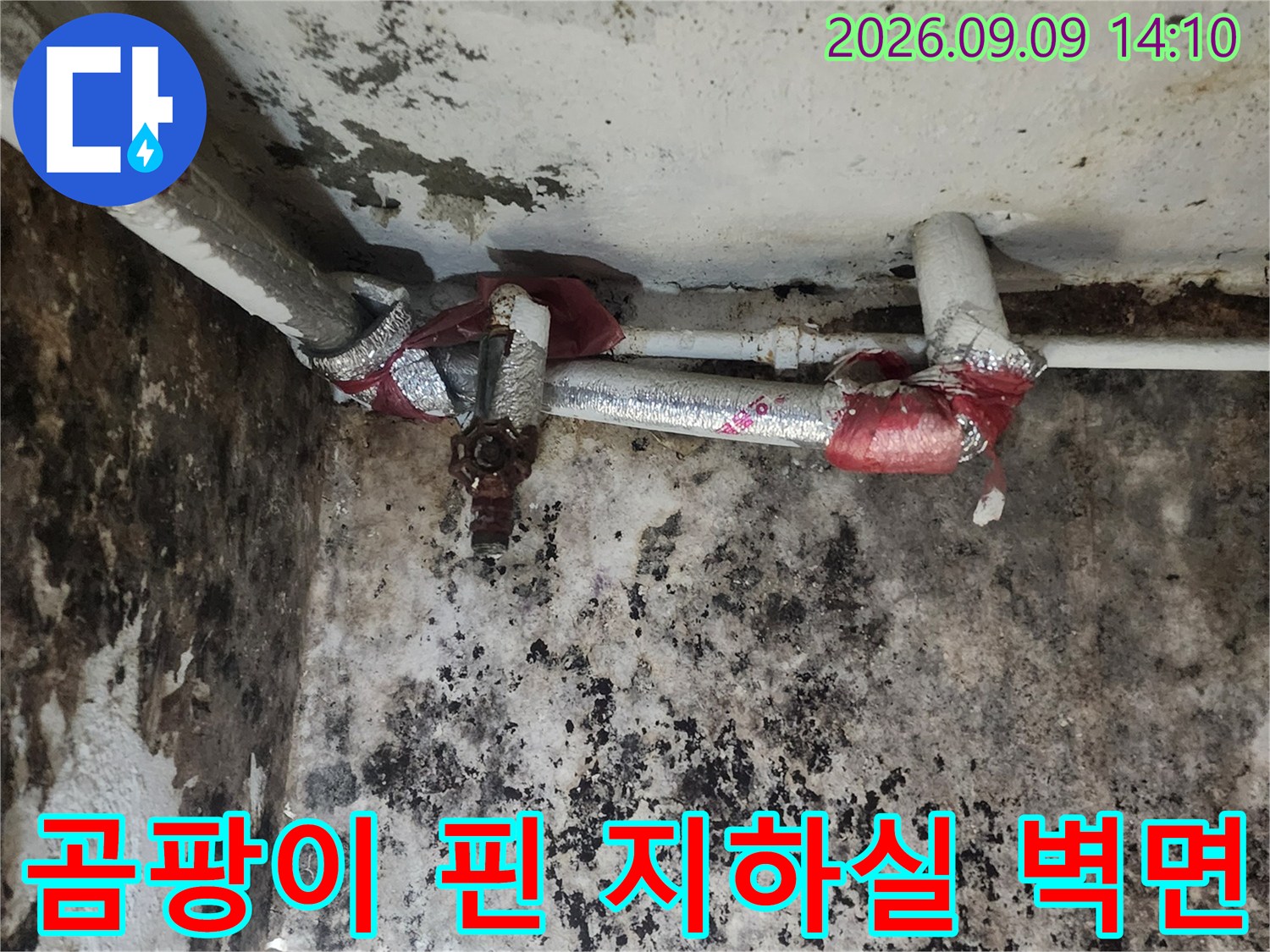 습기로 오염된 지하 벽면-배관 노출 부위 상세