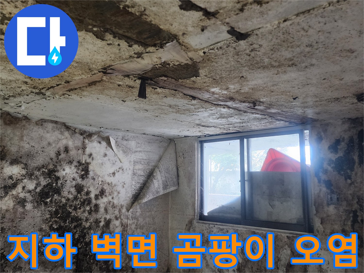 습기로 인해 변색된 지하실 벽면-곰팡이가 번진 벽과 바닥 모습