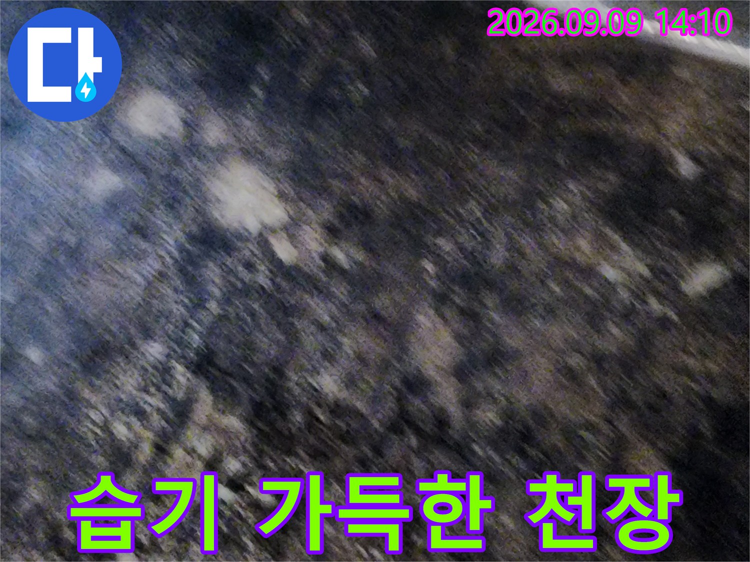 심하게 오염된-지하 천장의 곰팡이 분포도입니다.