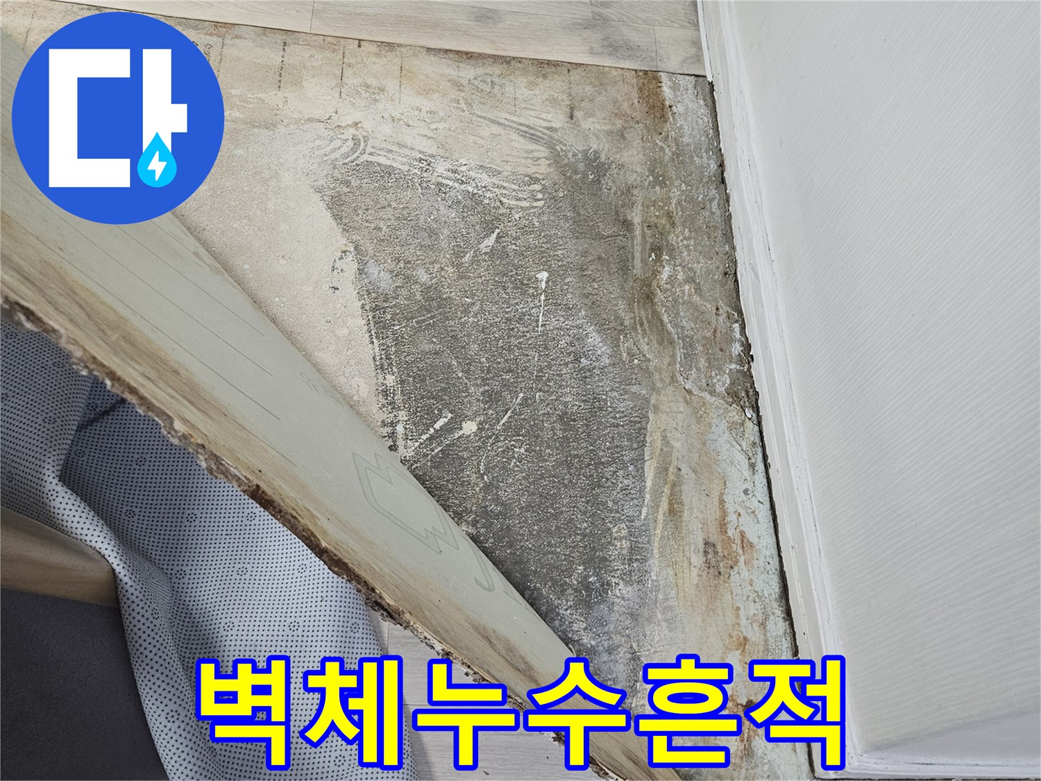 죽전동 현장 벽면에 나타난 누수 유입 경로와 얼룩