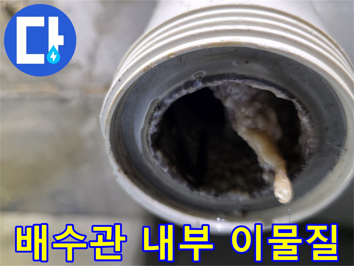배수관 입구에 엉겨 붙은 머리카락과 오물 덩어리 상태