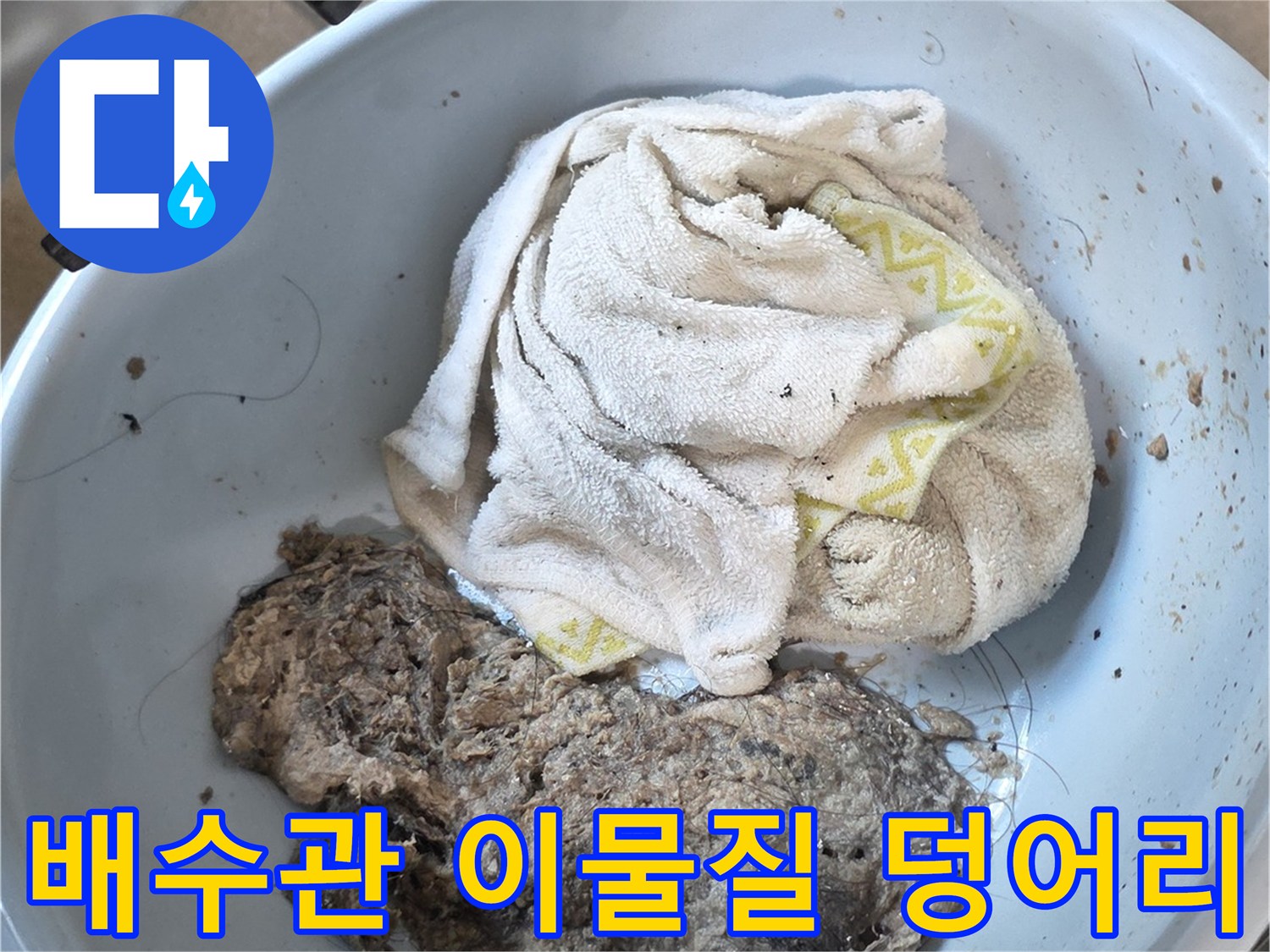 배수구에서 추출한-머리카락과 오물이 뭉친 이물질 덩어리