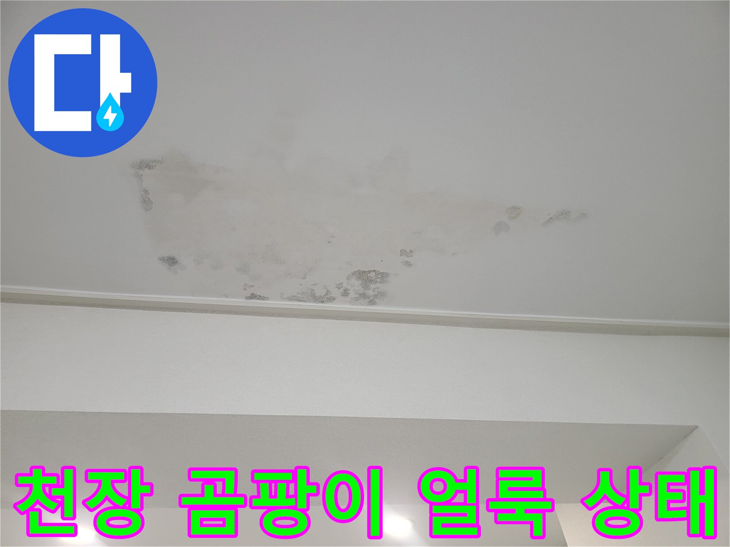 천장-벽면-사이의-곰팡이와-변색된-얼룩-부위