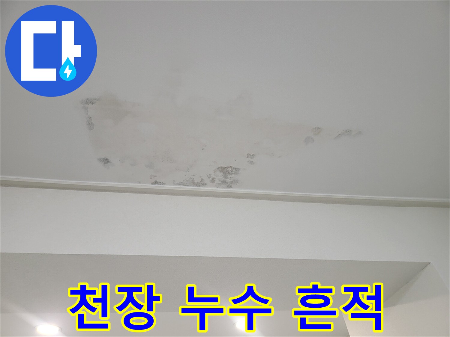 천장 벽지 중앙에 나타난 짙은 물얼룩-누수 지점 추정